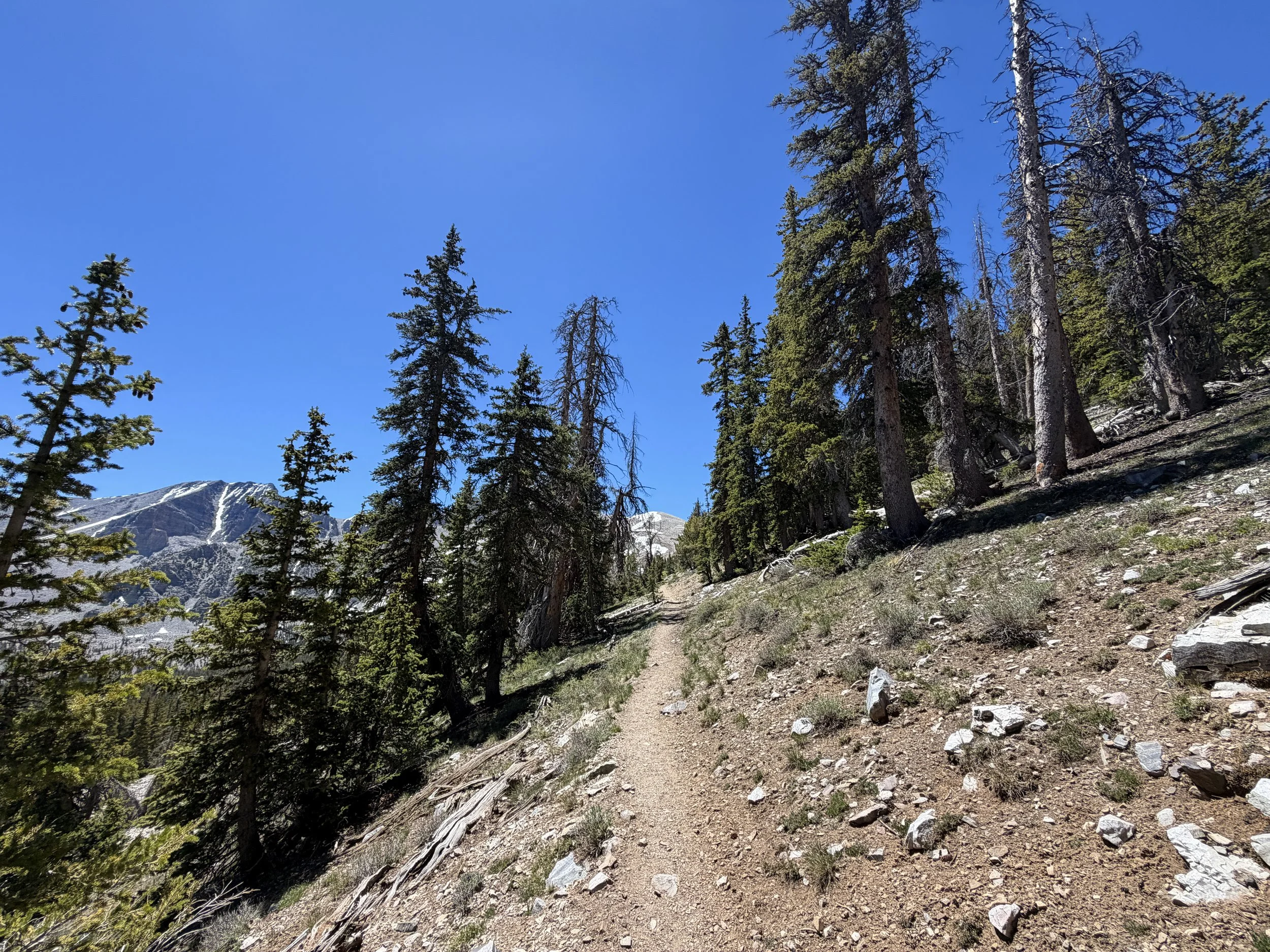 Wheeler Peak Hike Great Basin National Park Nevada