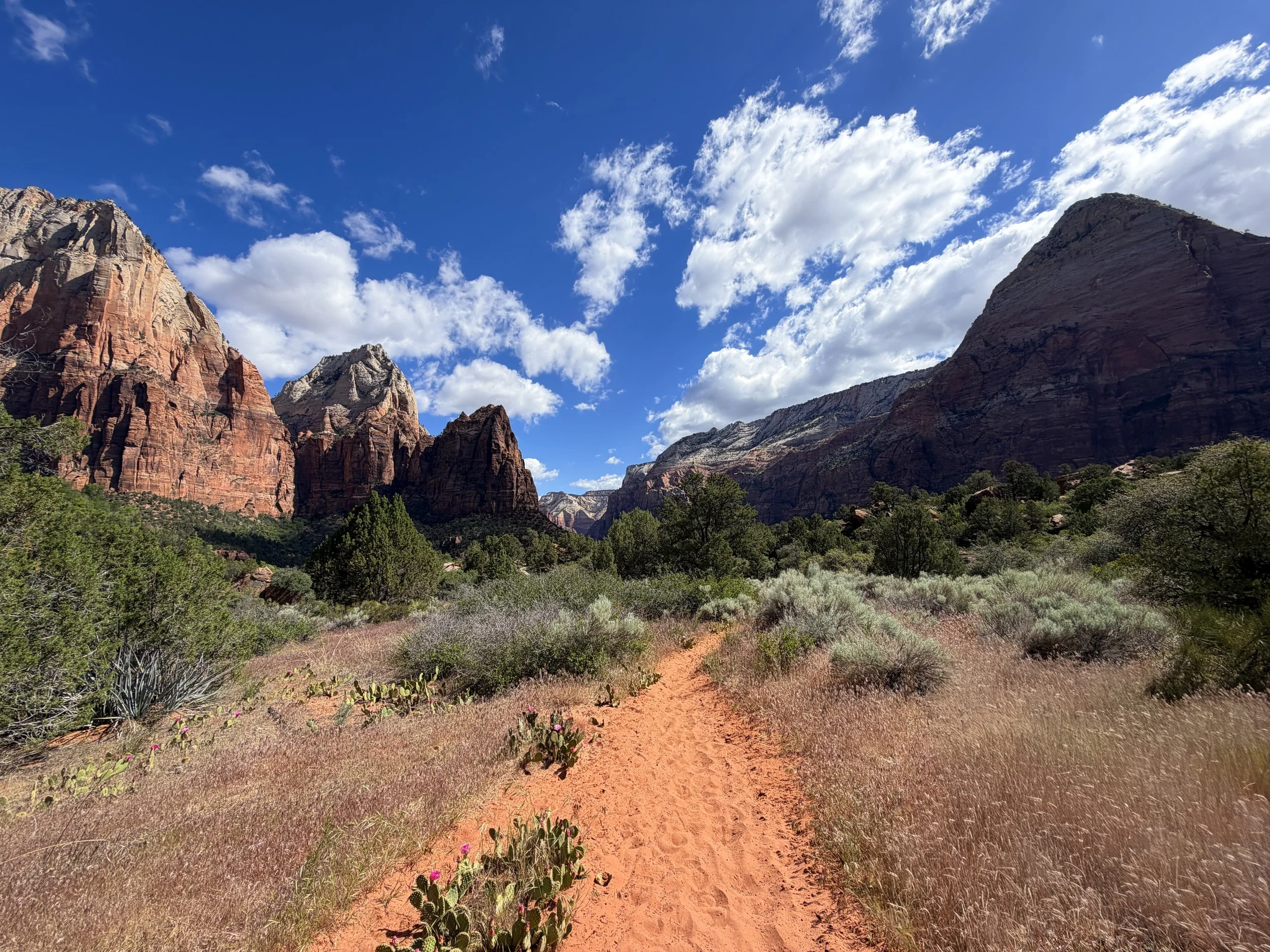 Sand Bench Loop Trail Zion National Park Utah