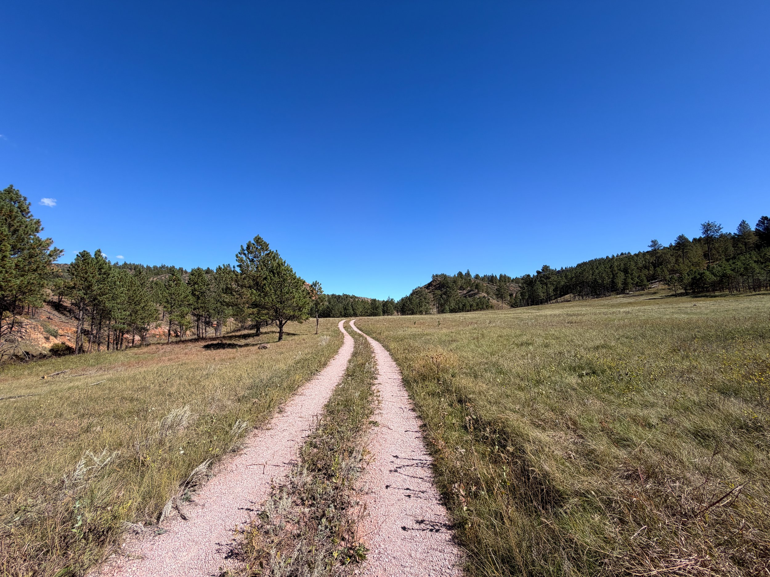 Wind Cave Canyon Trail Wind Cave National Park South Dakota
