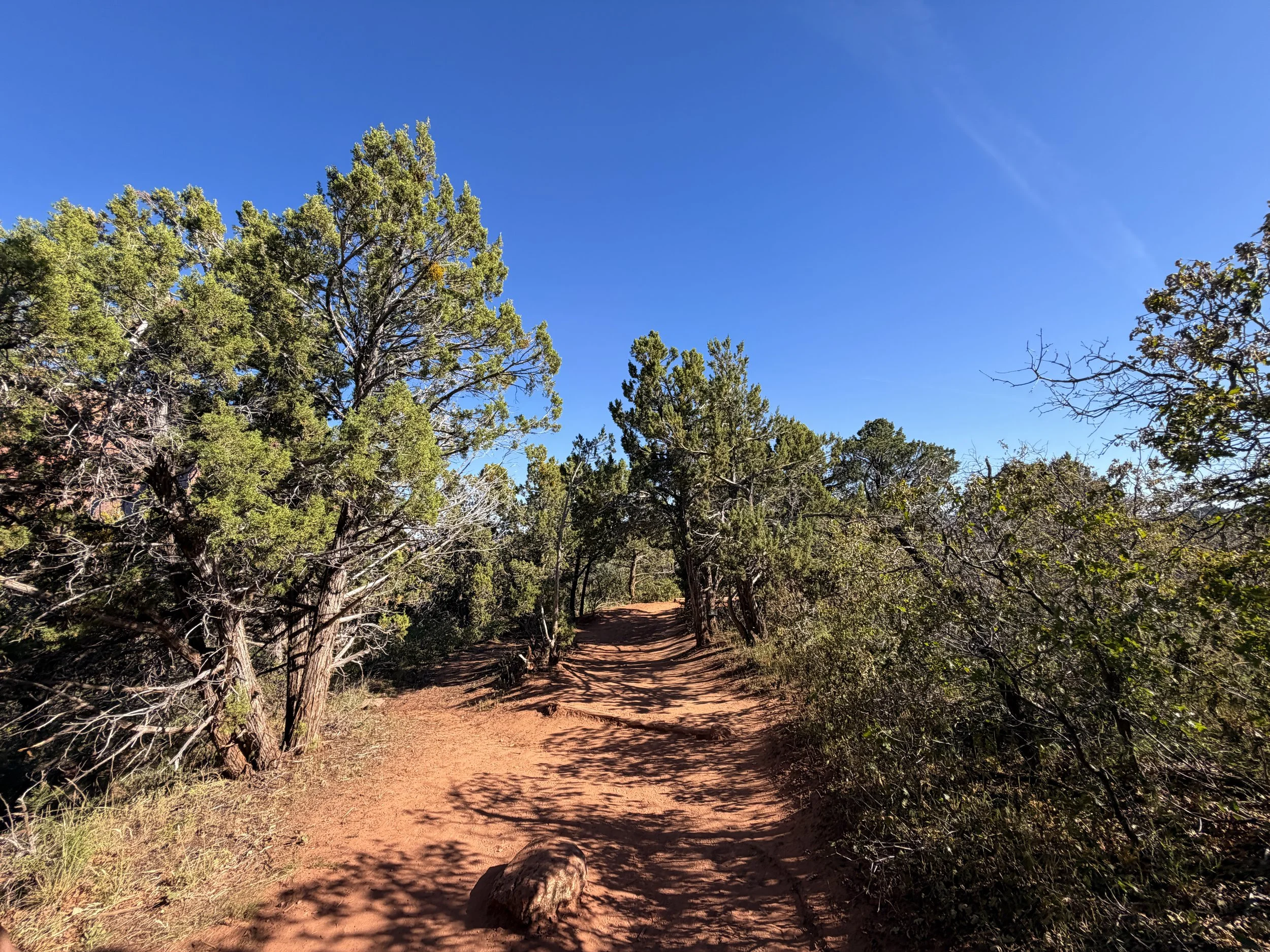 Timber Creek Overlook Trail Zion National Park Utah