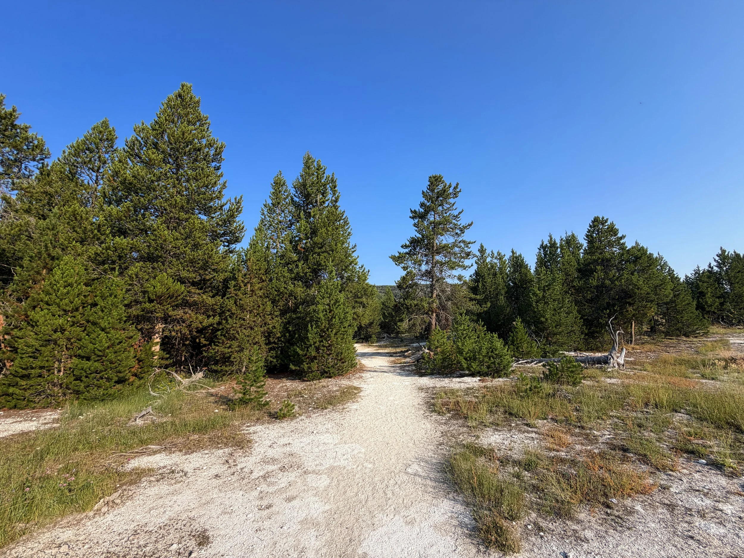 Mystic Falls Trail Yellowstone National Park Wyoming