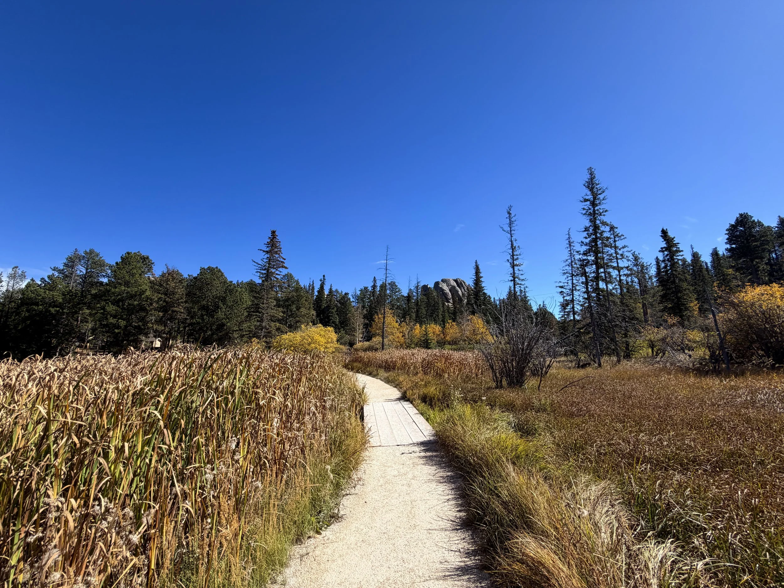 Sylvan Lake to Sunday Gulch Trail Custer State Park Black Hills South Dakota