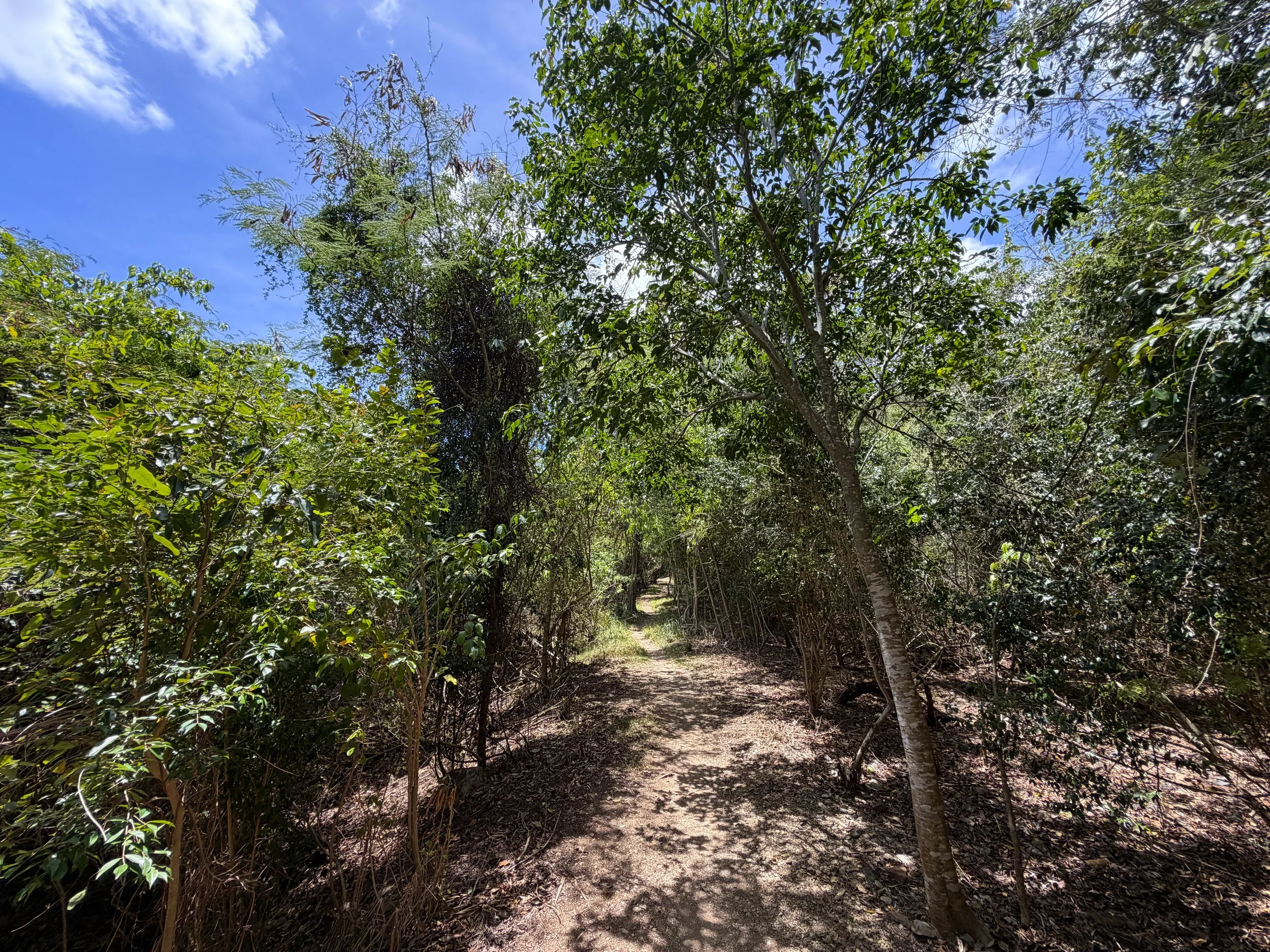 Reef Bay Trail Virgin Islands National Park