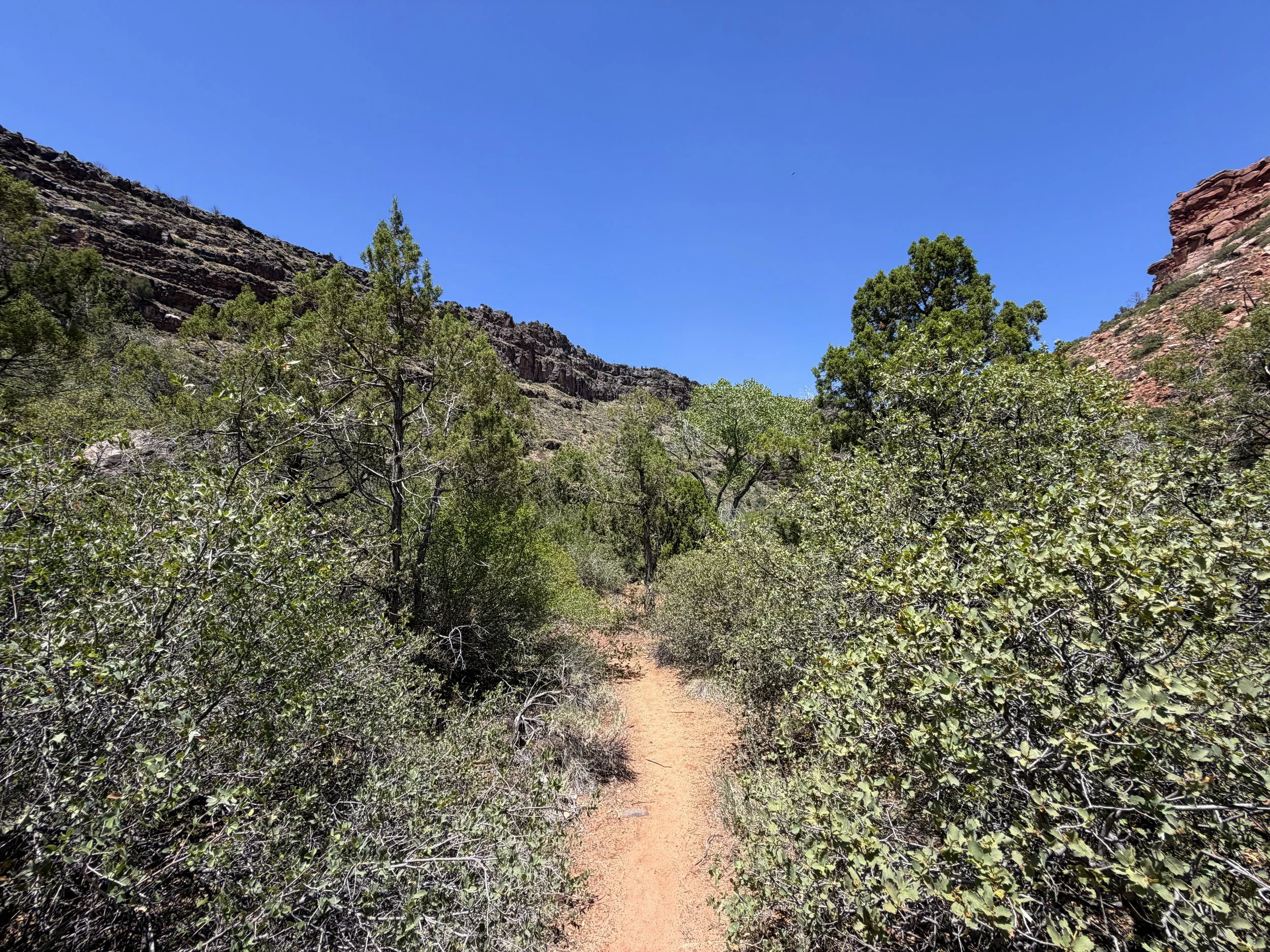 Grapevine Trail to Left Fork Falls Zion National Park Utah