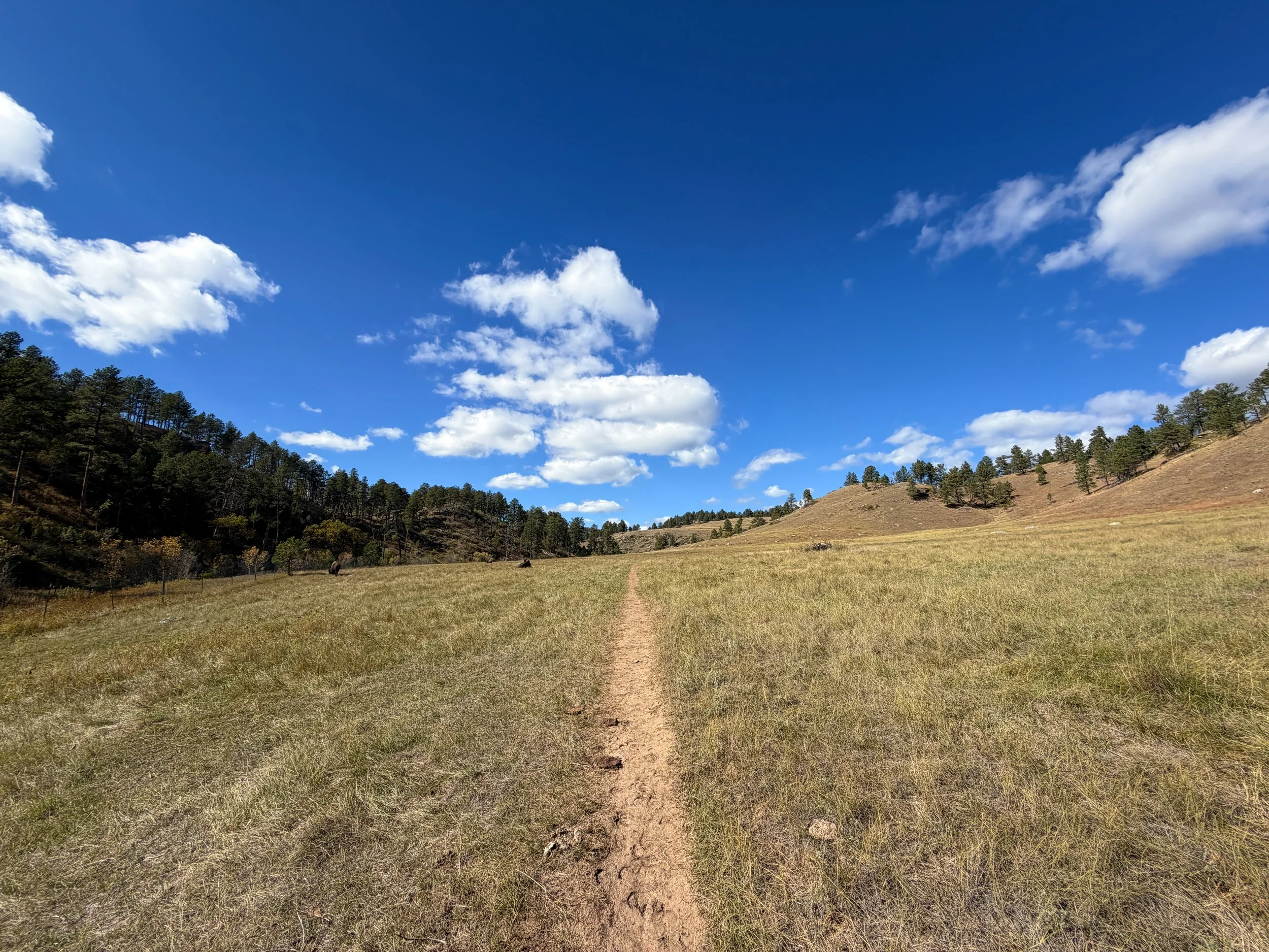 Lookout Point Loop Trail Wind Cave National Park South Dakota