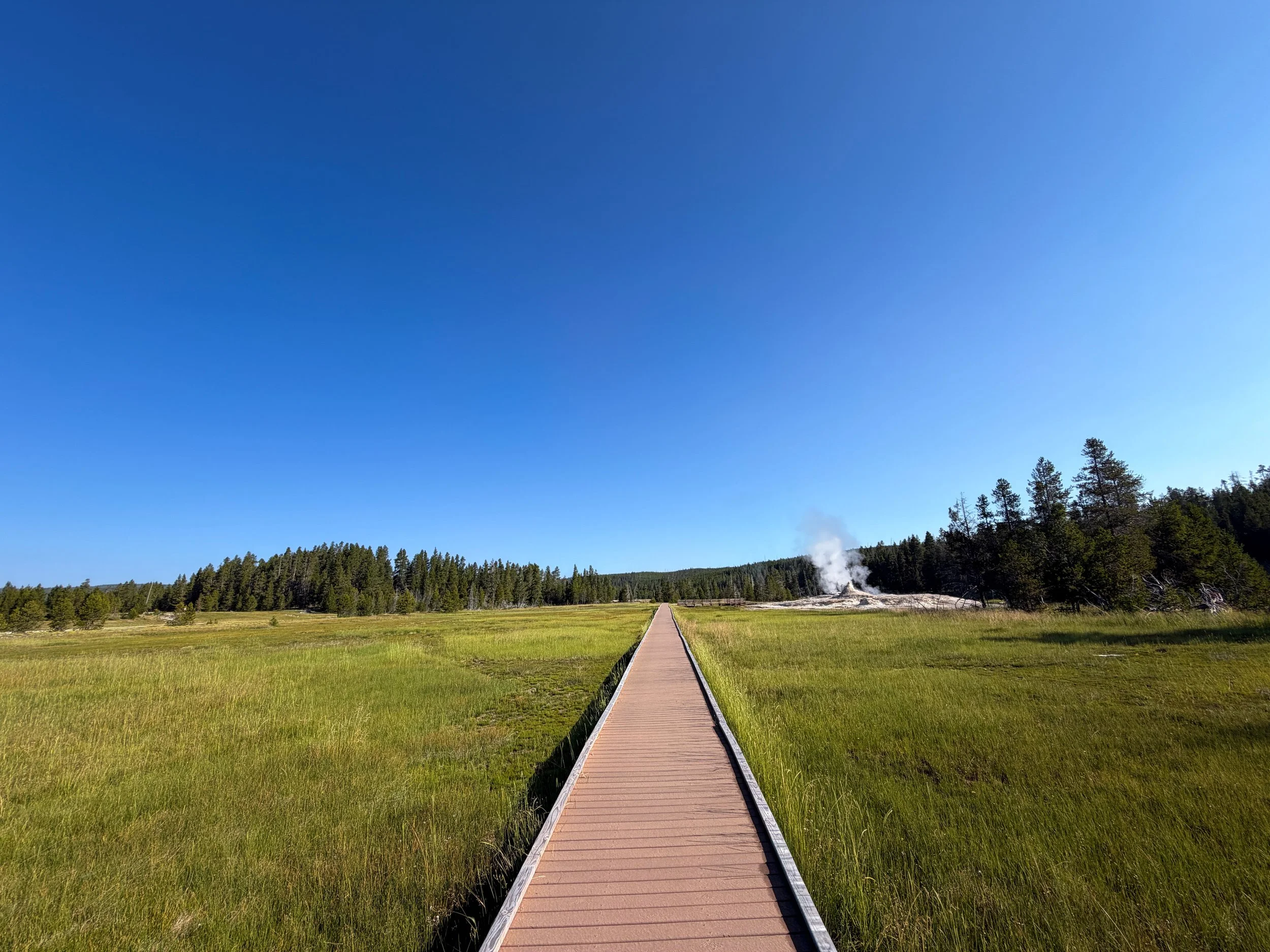 Upper Geyser Basin Trail Yellowstone National Park Wyoming