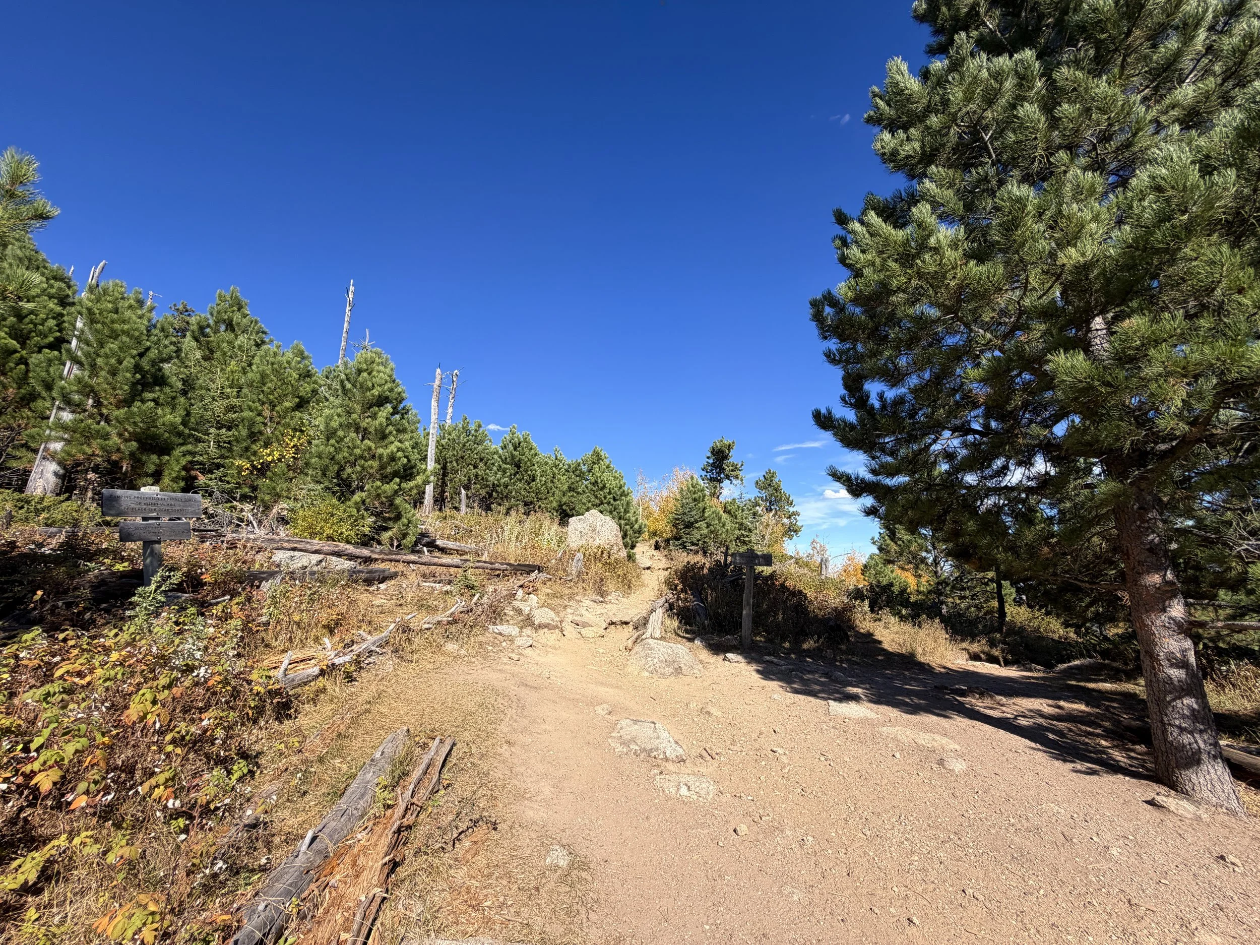 Black Elk Peak Trail to Harney Peak Lookout Black Hills South Dakota