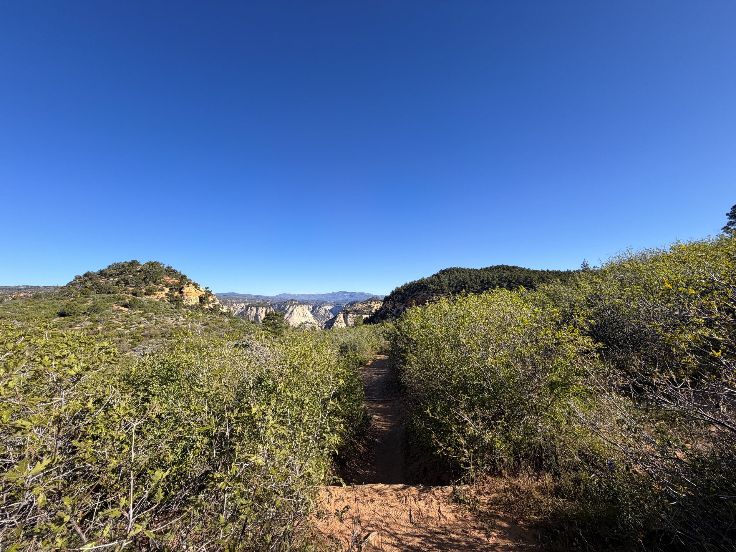 East Mesa Trail to Observation Point Trail Zion National Park Utah