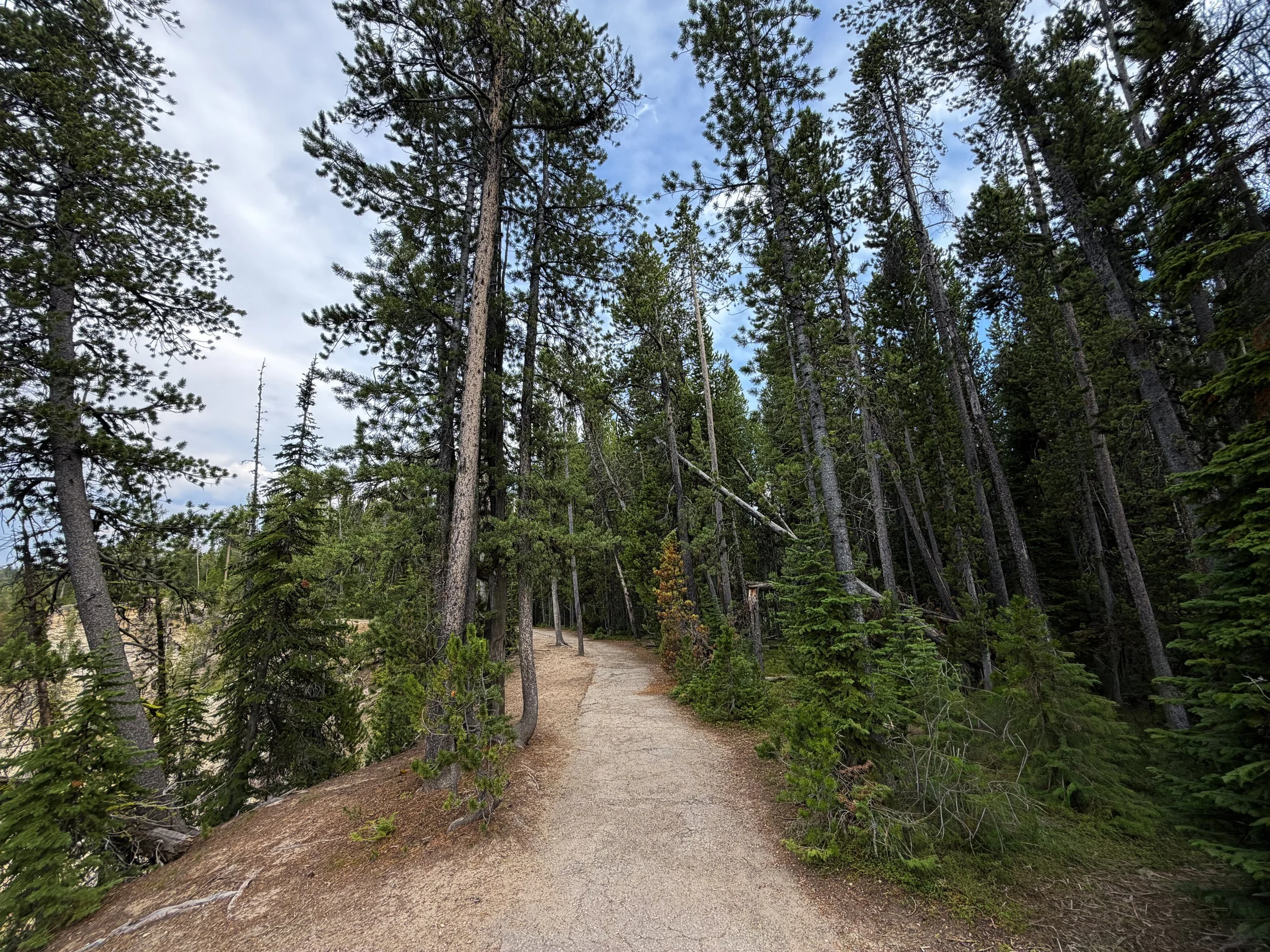 South Rim Trail Yellowstone National Park Wyoming