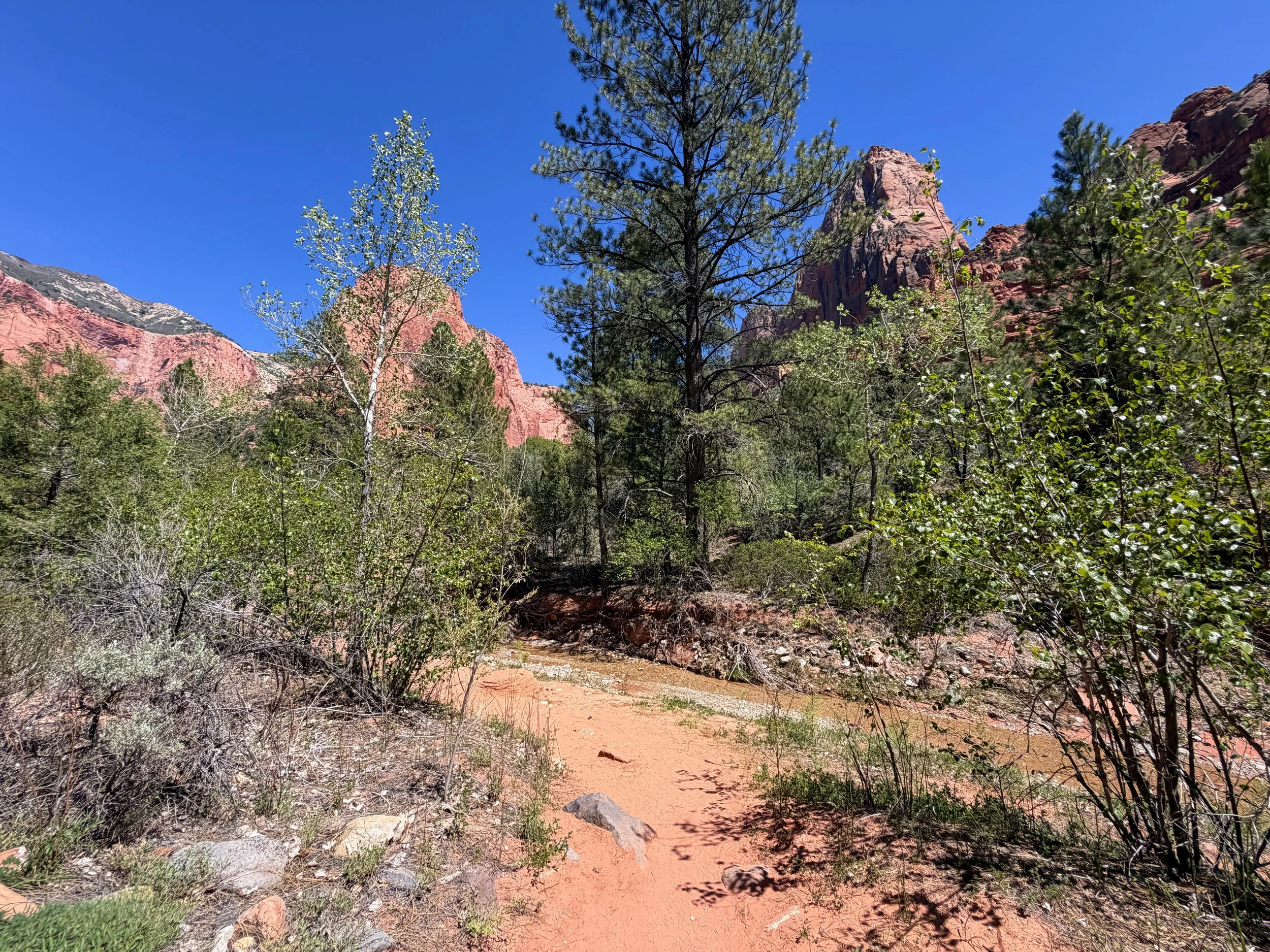 Middle Taylor Creek Trail to Double Arch Alcove Zion National Park Utah