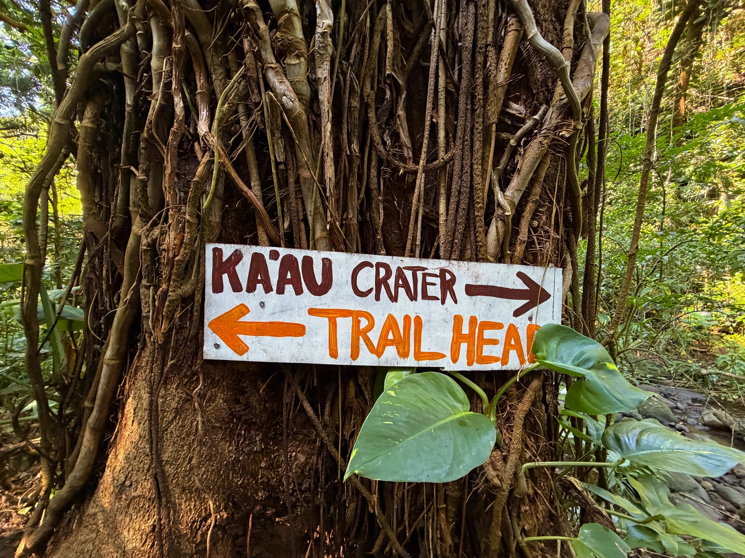 Kaau Crater Trail Oahu Hawaii