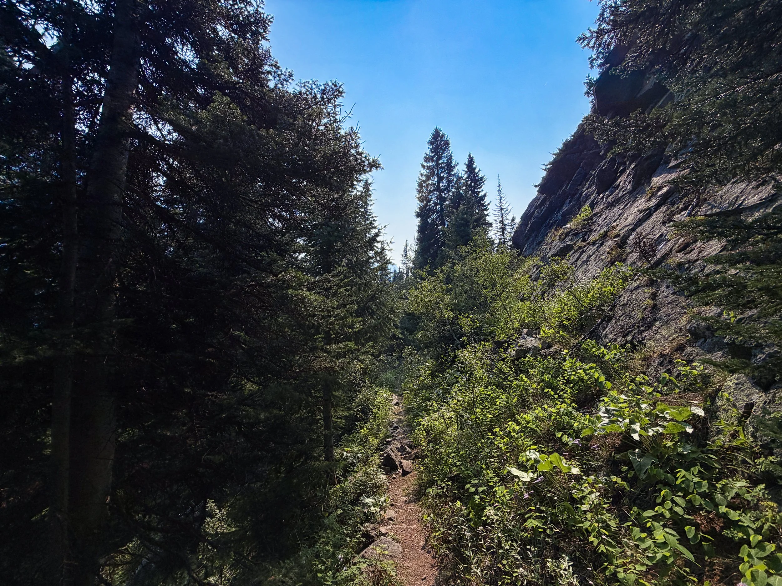 Beaten Path Trail Beartooth Mountains Montana