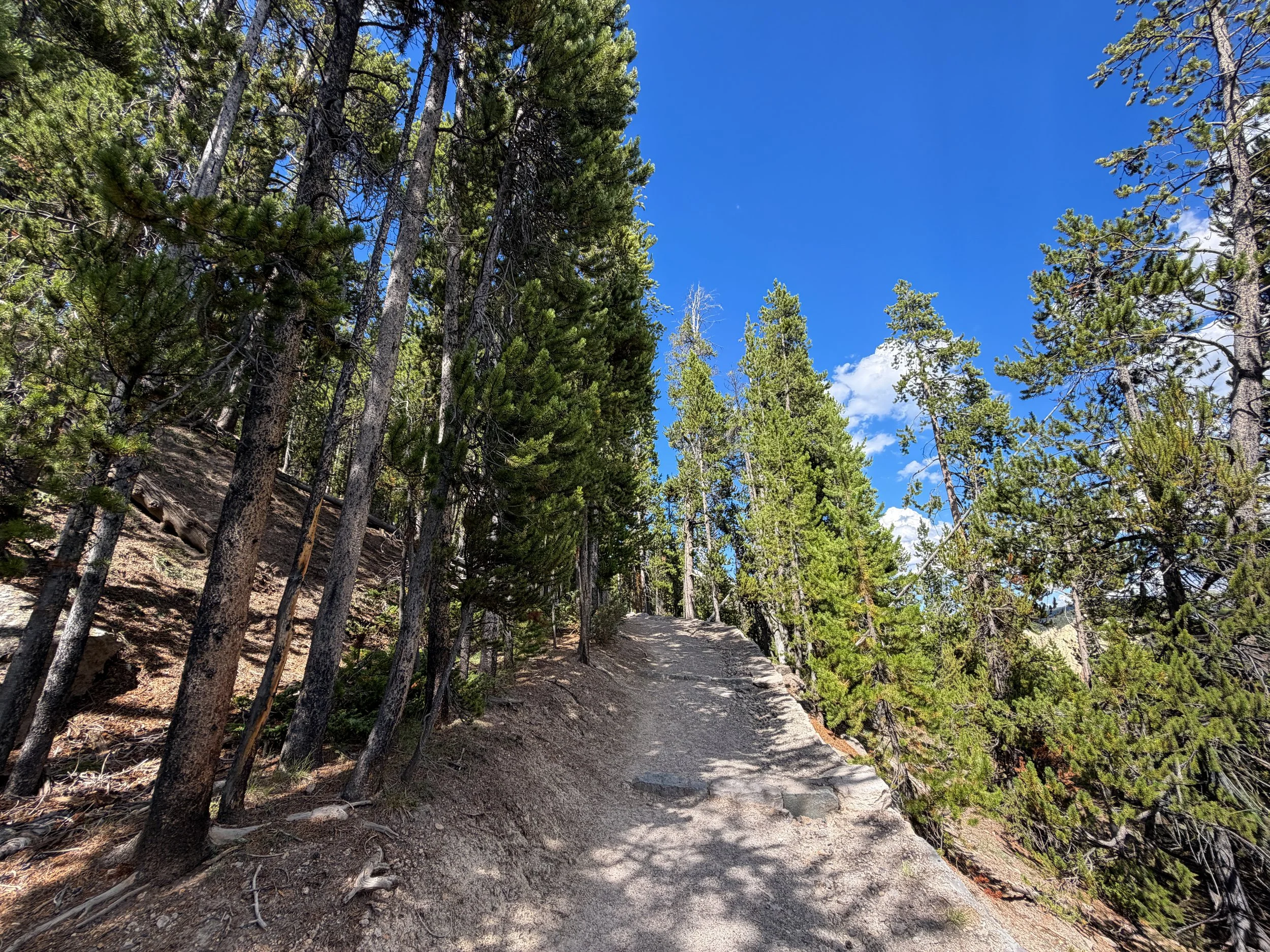 North Rim Trail Yellowstone National Park Wyoming