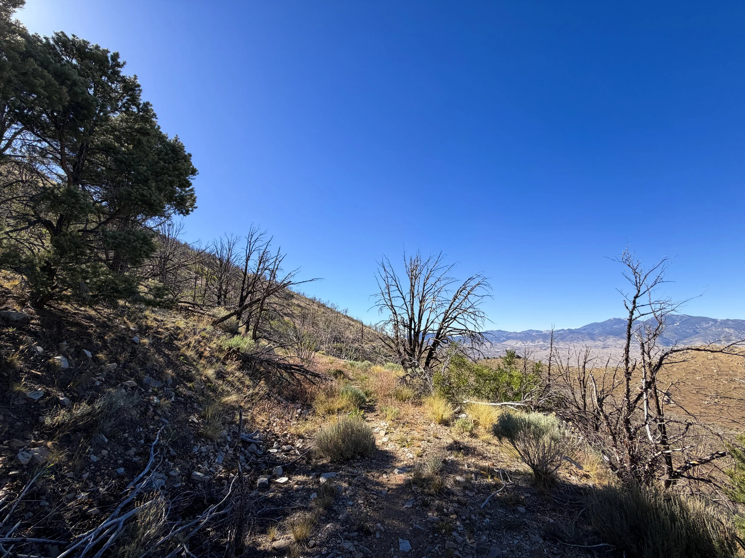 Strawberry Creek Fire Osceola Ditch Trail Great Basin National Park Nevada