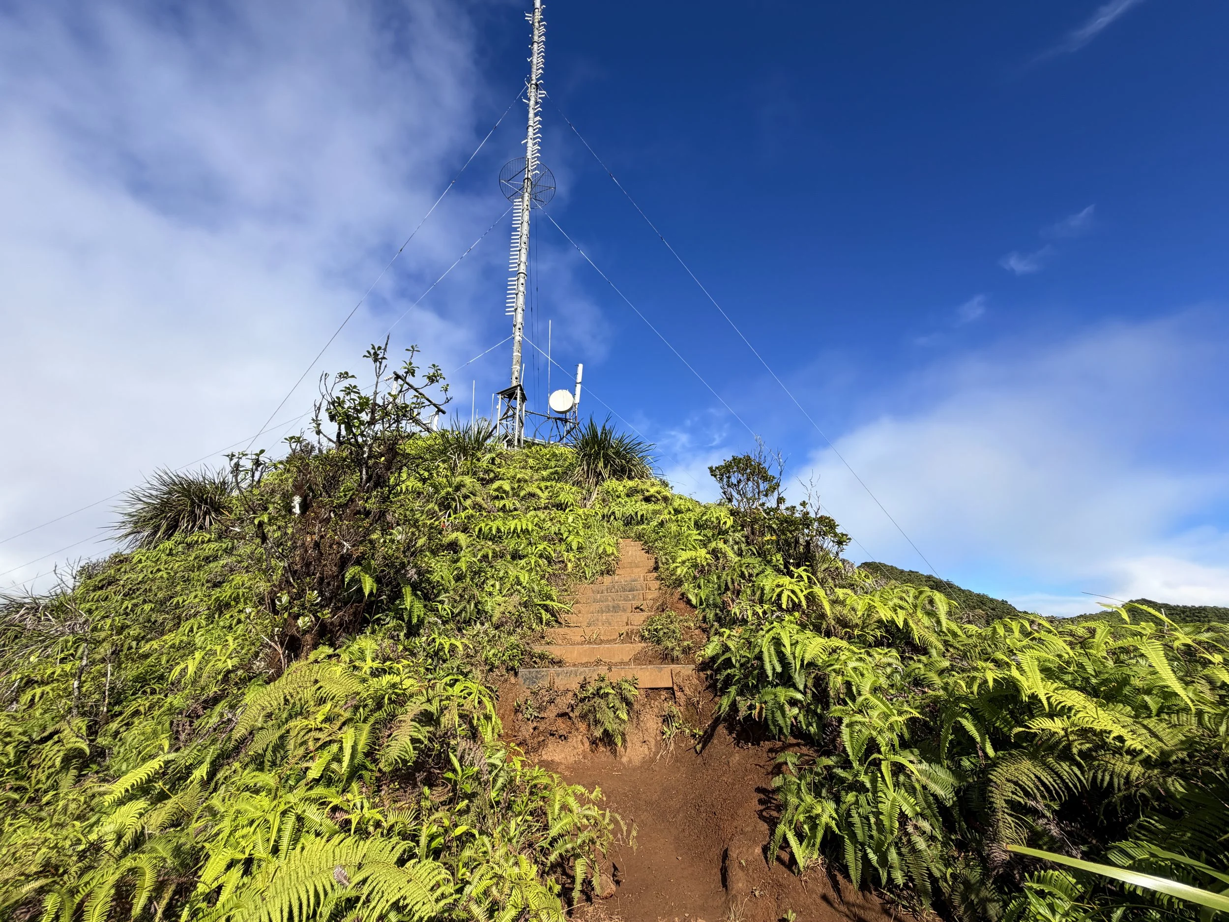 Wiliwilinui Ridge Trail Stairs Oahu Hawaii