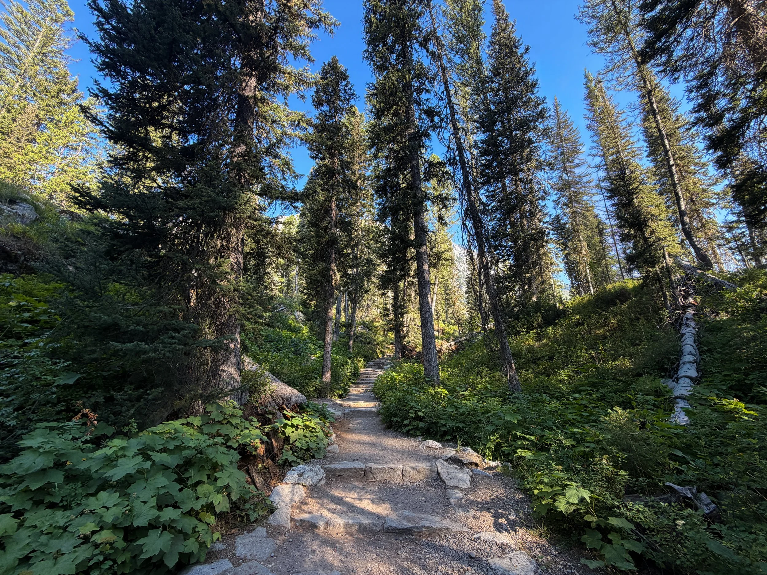 Jenny Lake Loop Trail to Hidden Falls Grand Teton National Park Wyoming