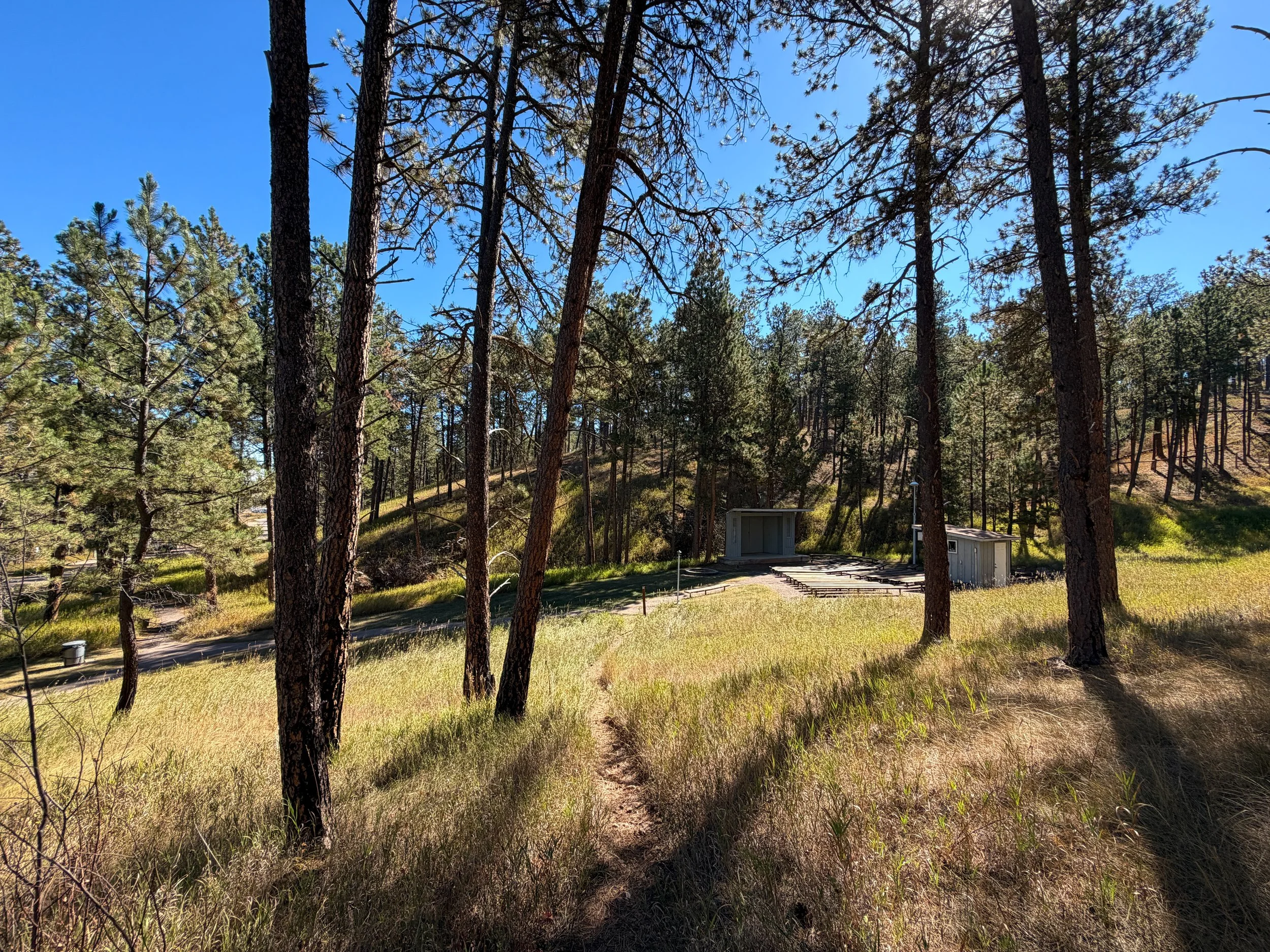 Elk Mountain Trail Wind Cave National Park South Dakota