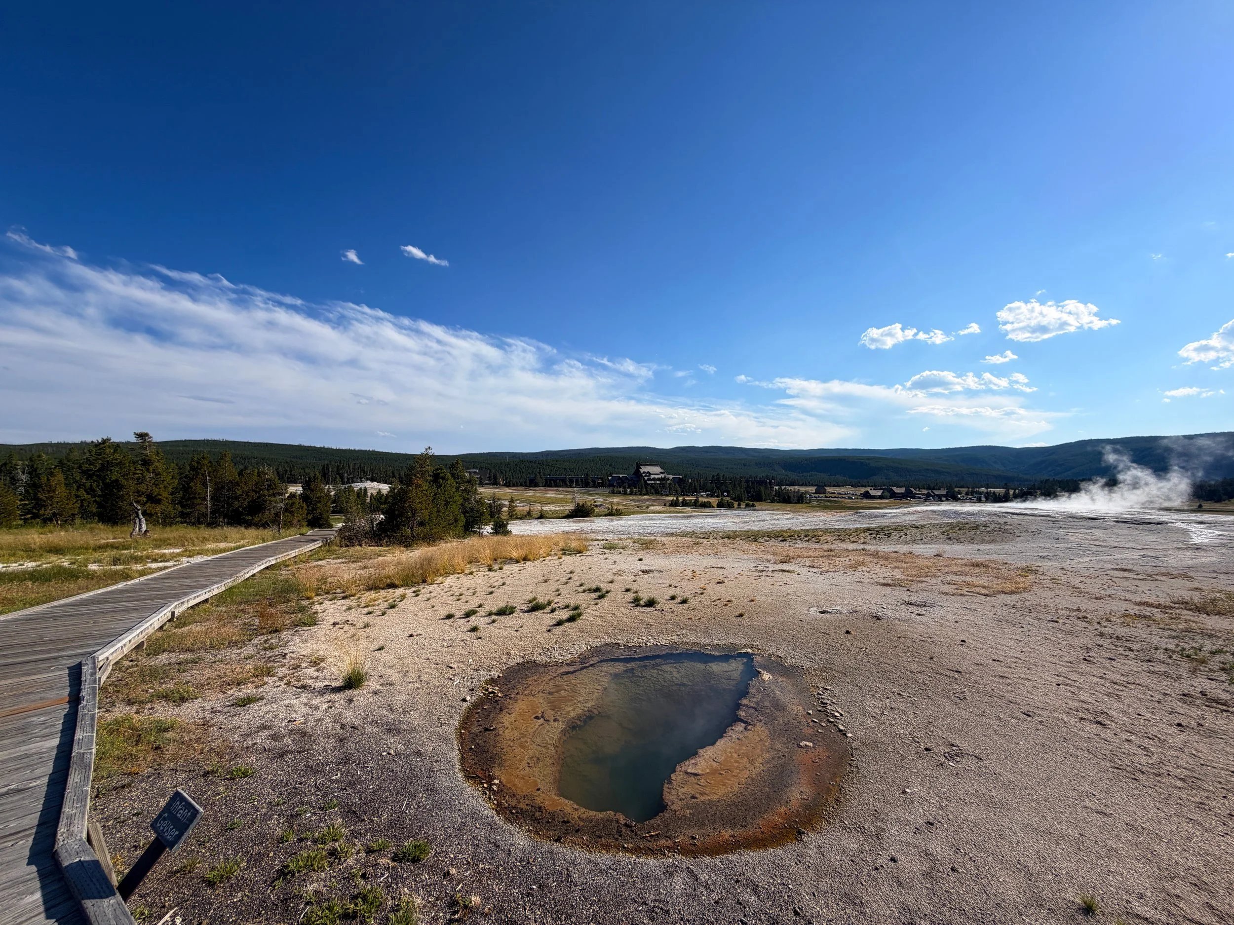 Infant Geyser Yellowstone National Park Wyoming