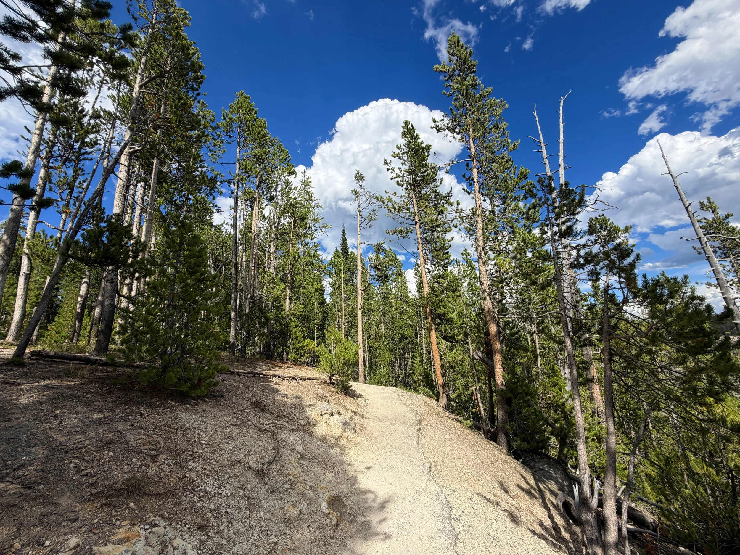 North Rim Trail Yellowstone National Park Wyoming
