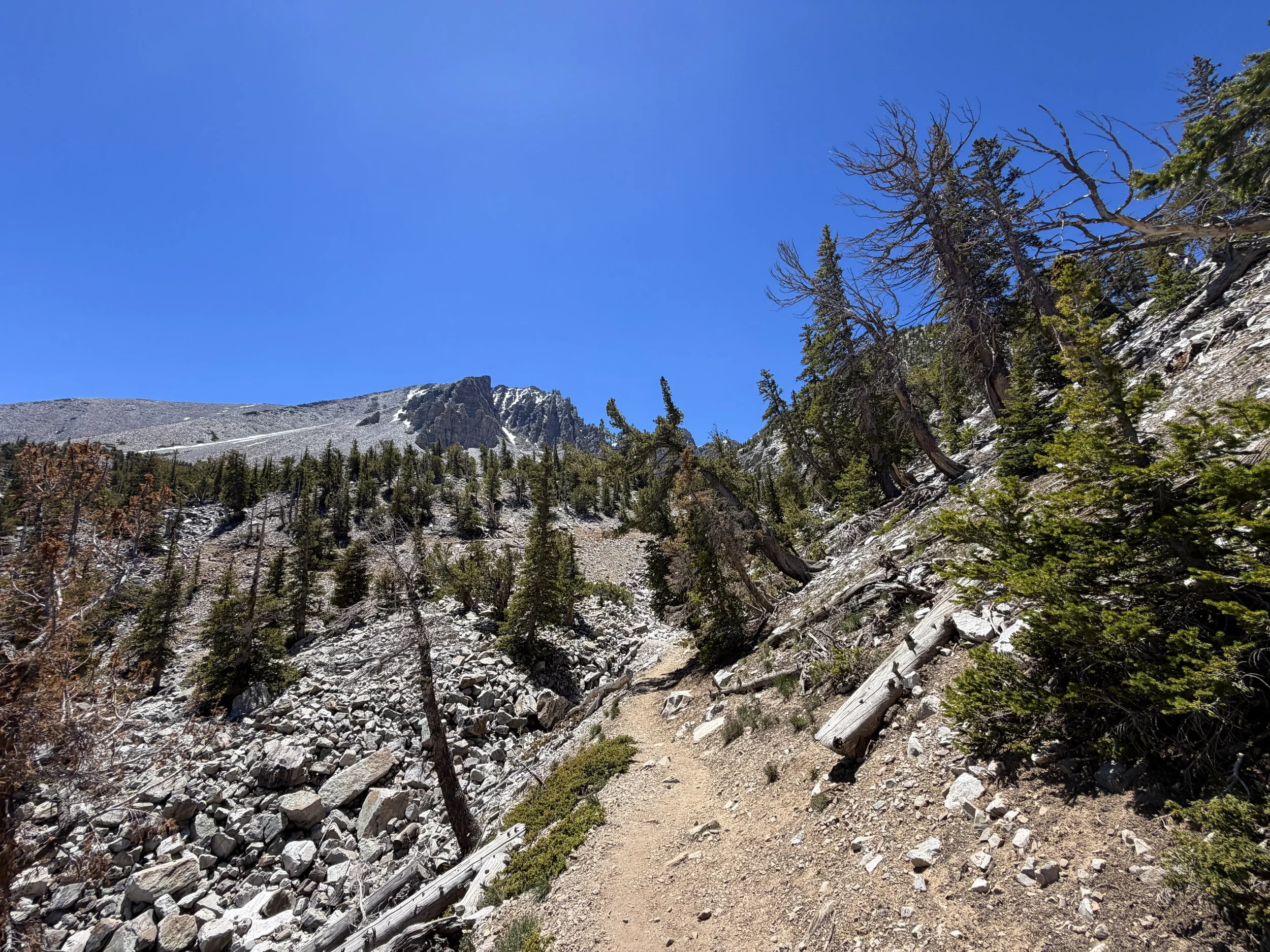 Bristlecone Pine Trail Great Basin National Park Nevada
