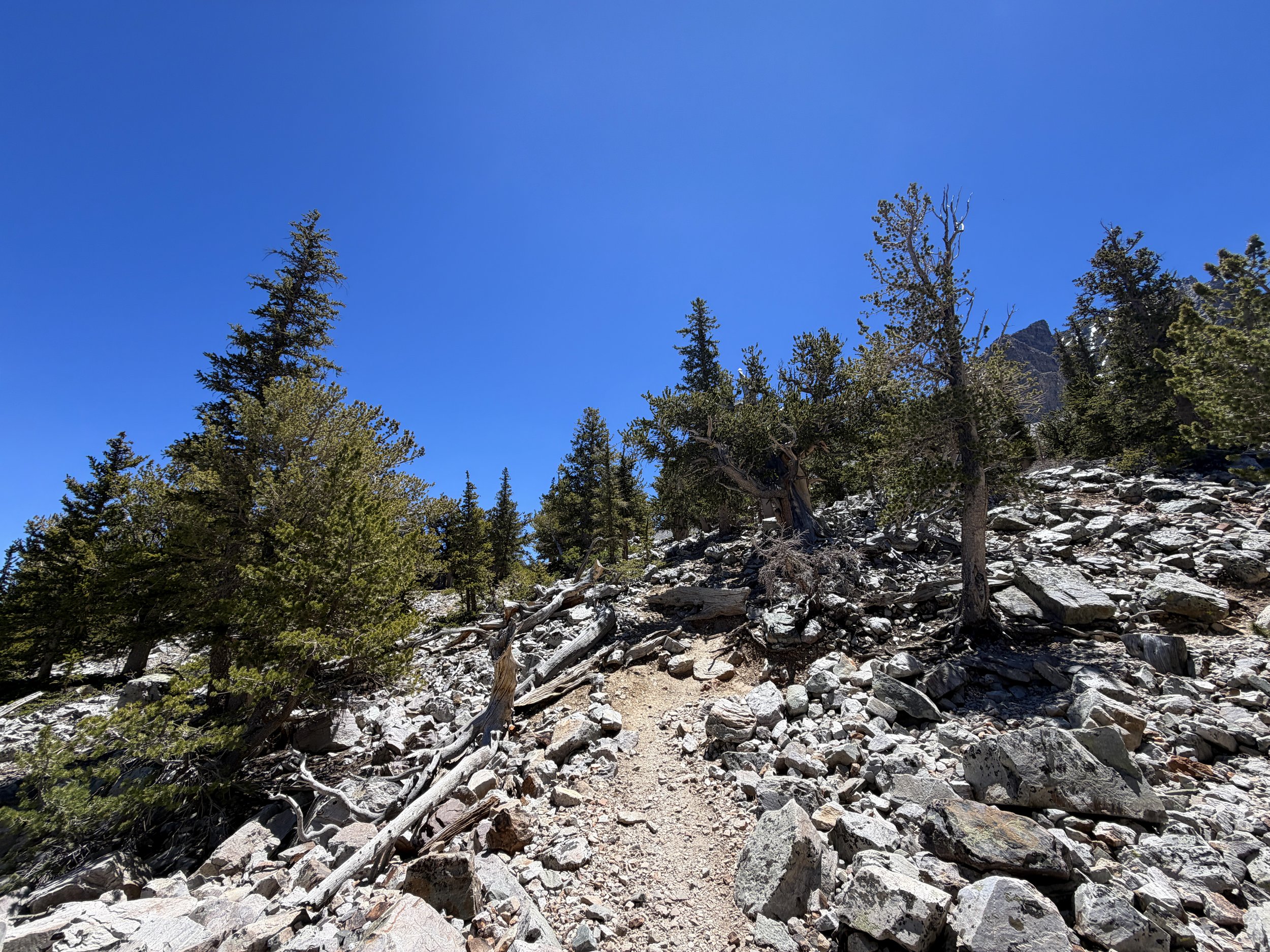 Bristlecone Trail Great Basin National Park Nevada