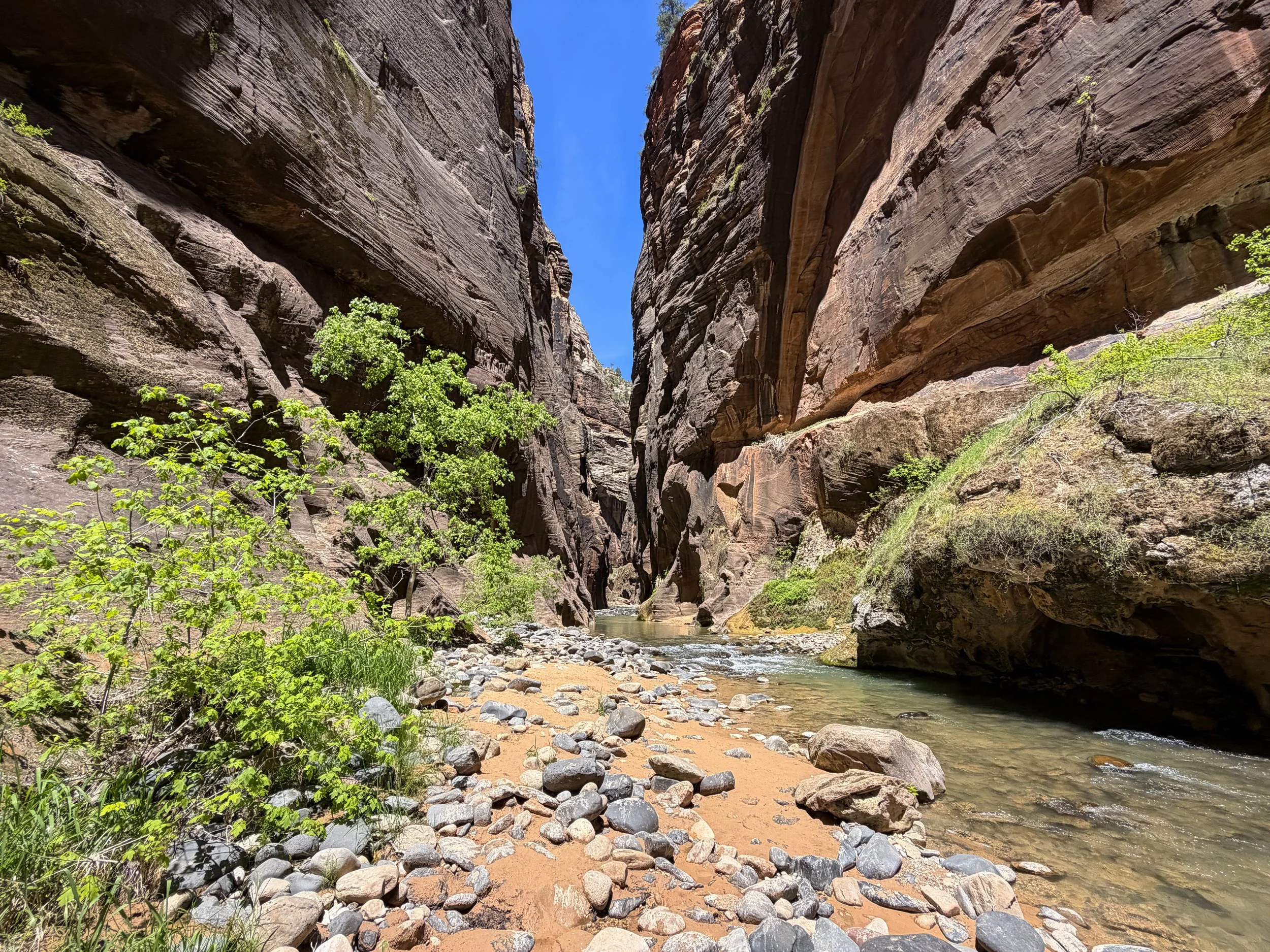 Wall Street Narrows Hike Zion National Park Utah