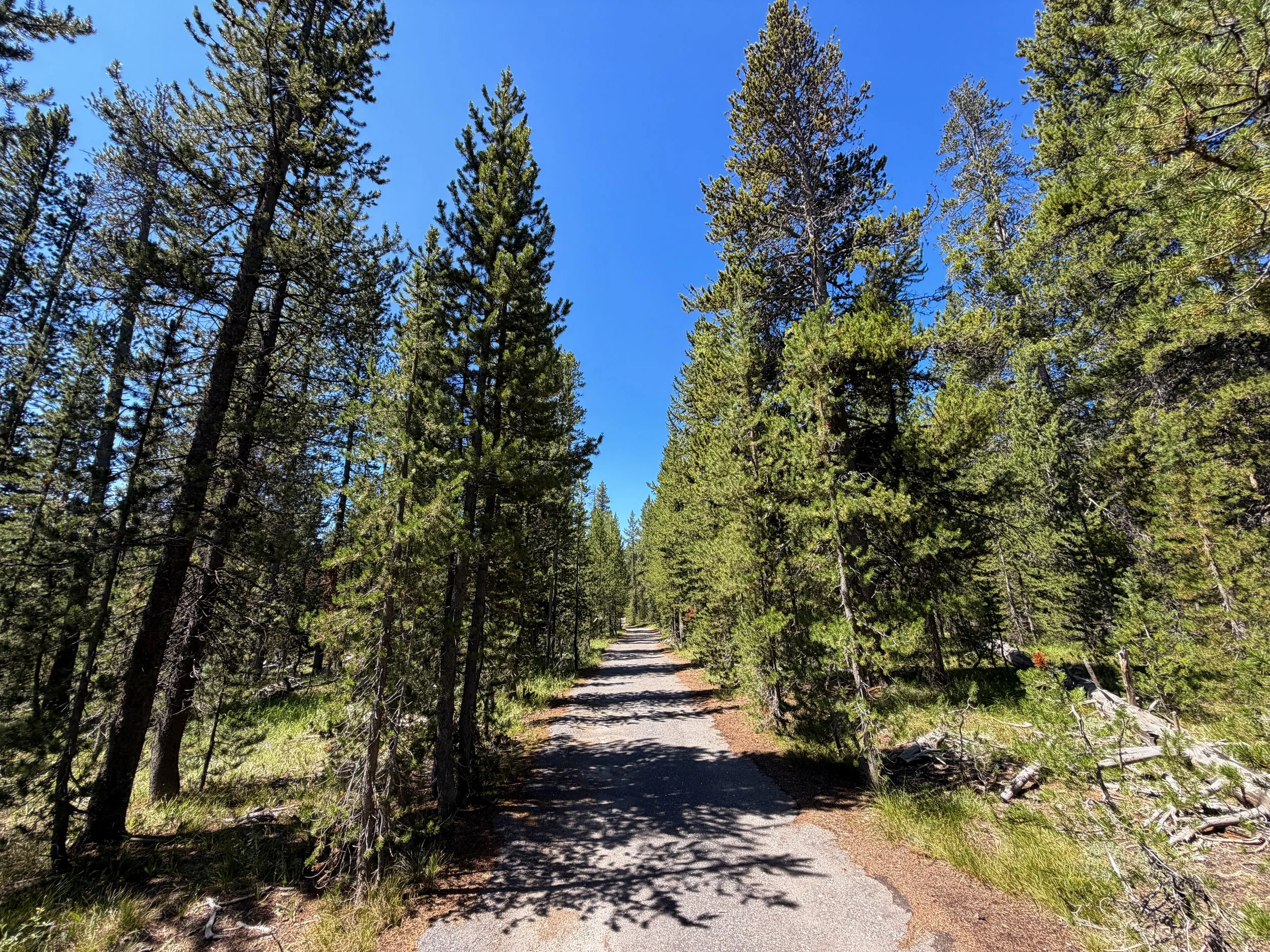 Lone Star Geyser Trail Yellowstone National Park Wyoming