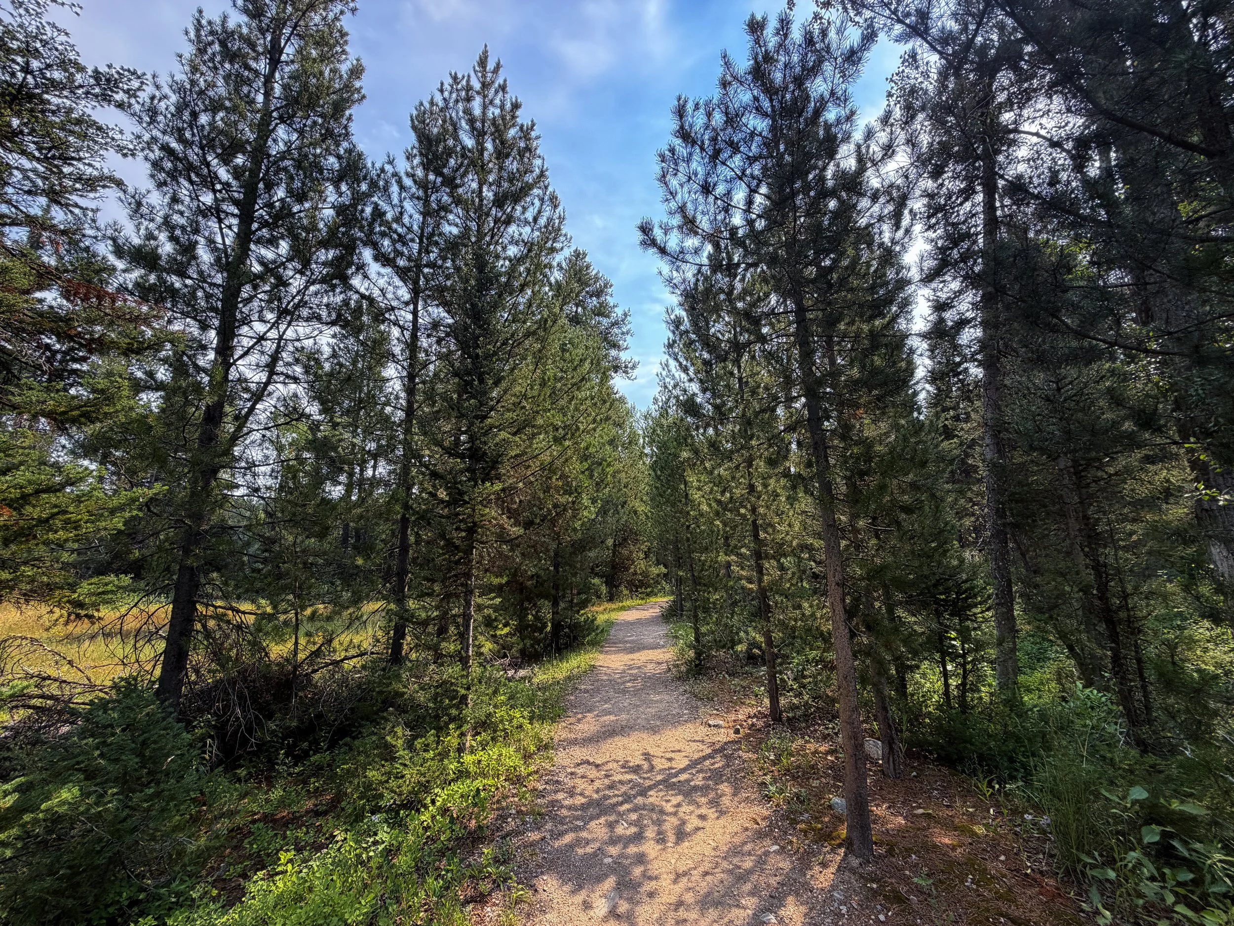 Boulder Ridge Loop Trail Grand Teton National Park Wyoming