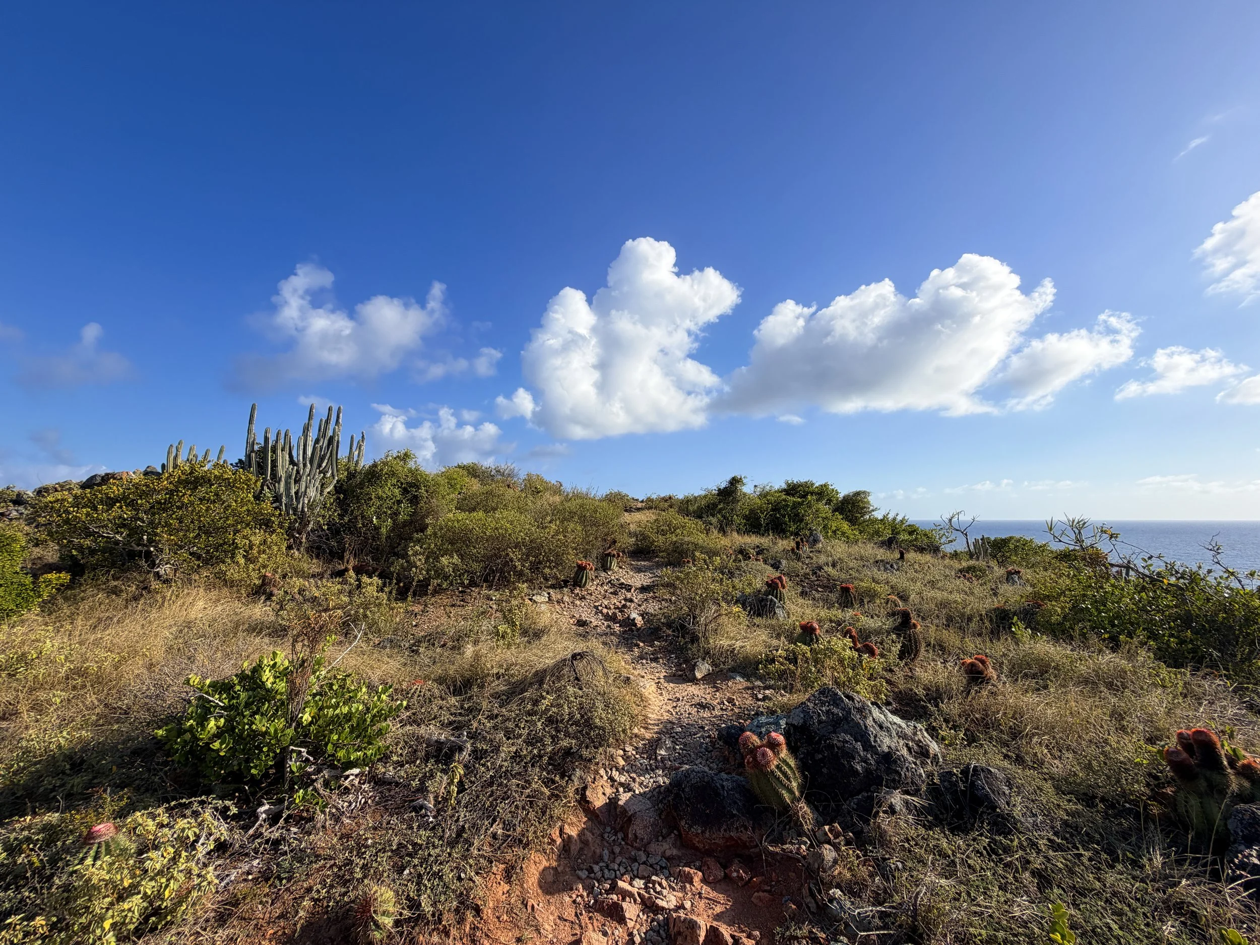 Ram Head Trail Virgin Islands National Park