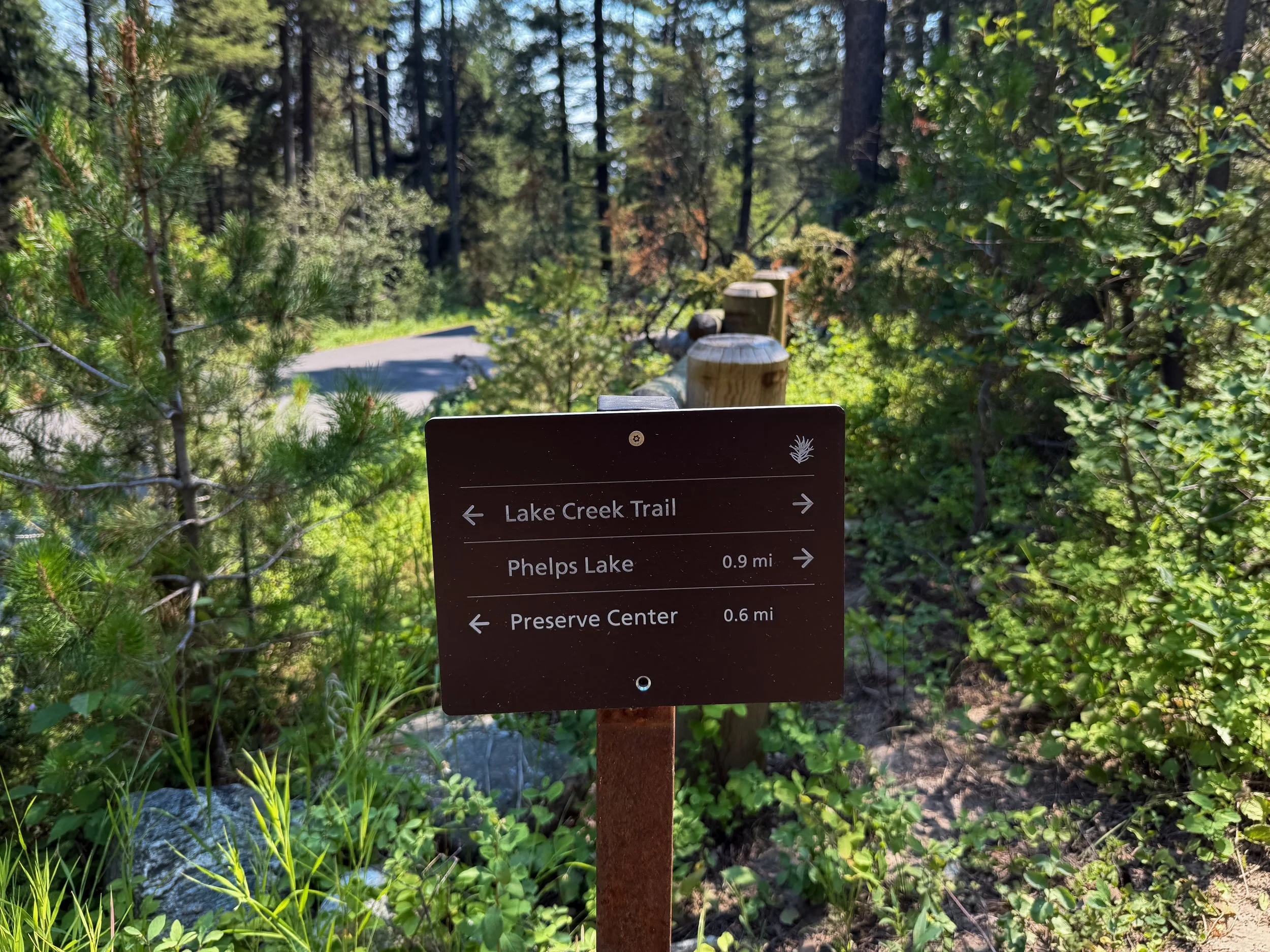 Phelps Lake Loop Trail Grand Teton National Park Wyoming