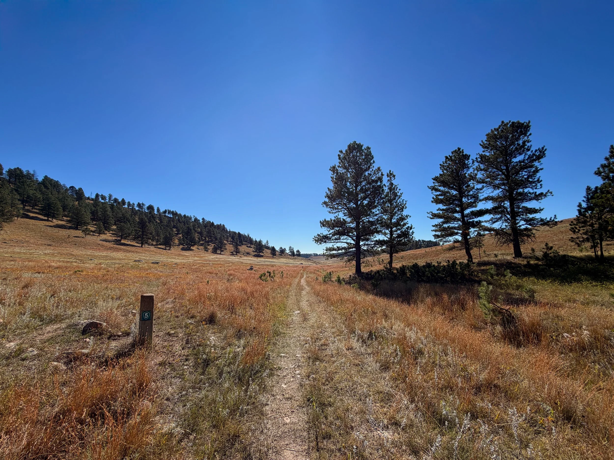 Sanctuary Hike Wind Cave National Park South Dakota