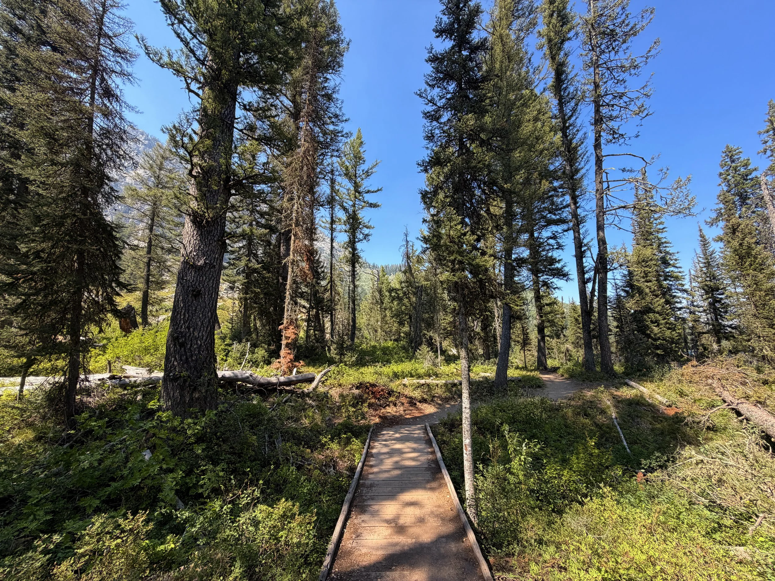 Jenny Lake Loop Trail Grand Teton National Park Wyoming