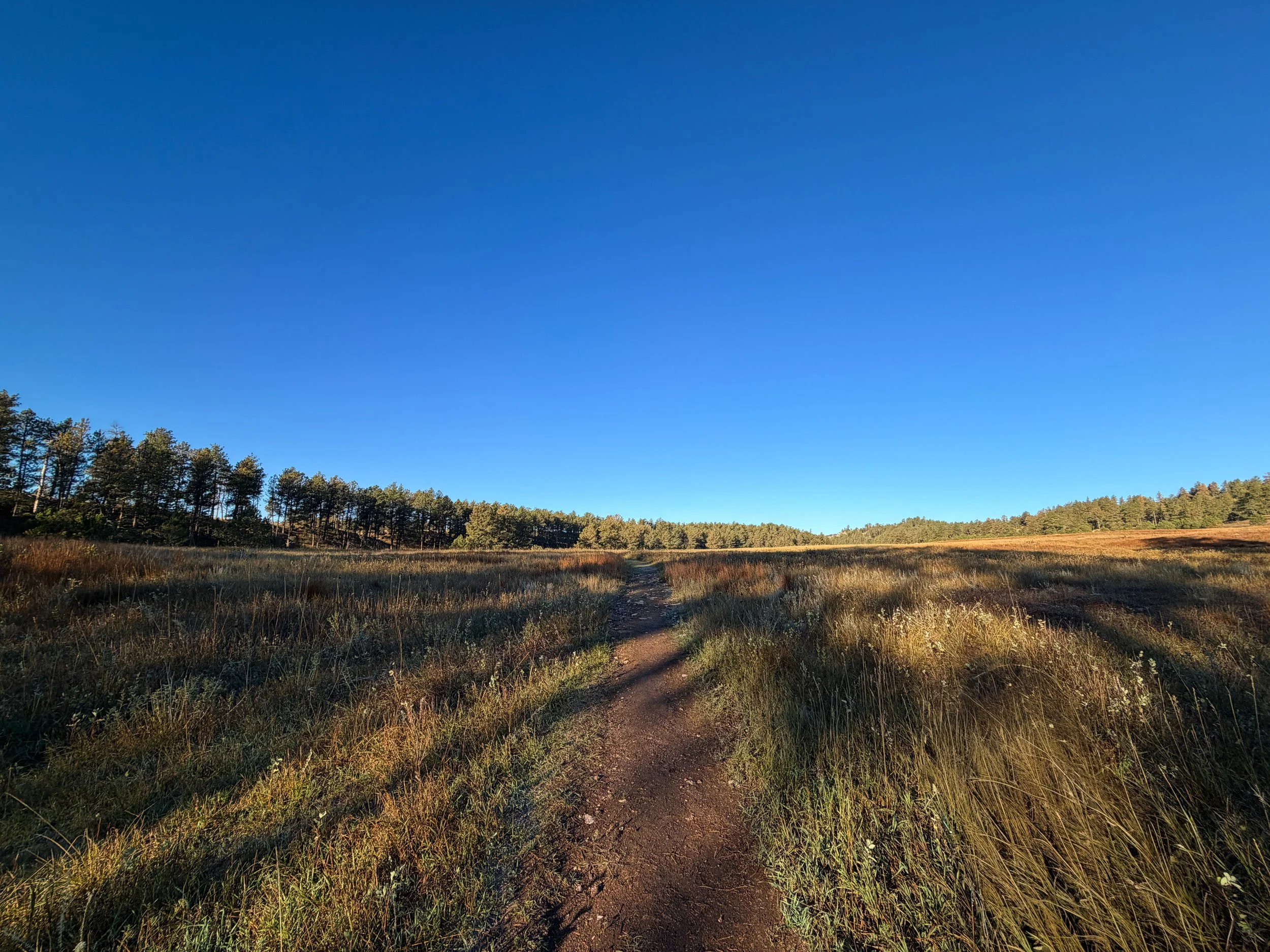 Cold Brook Canyon Trail Wind Cave National Park South Dakota