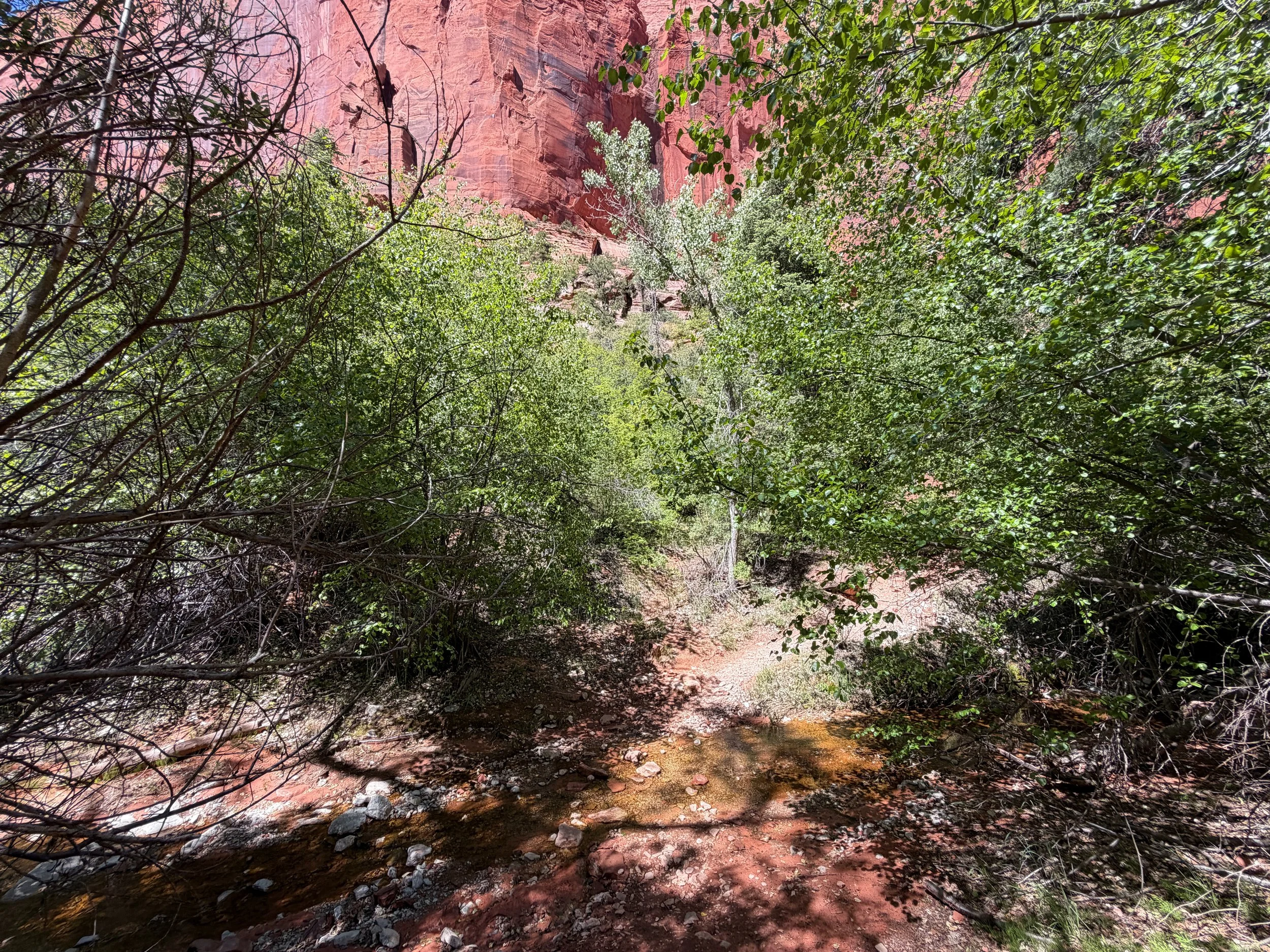 Taylor Creek Trail Zion National Park Utah