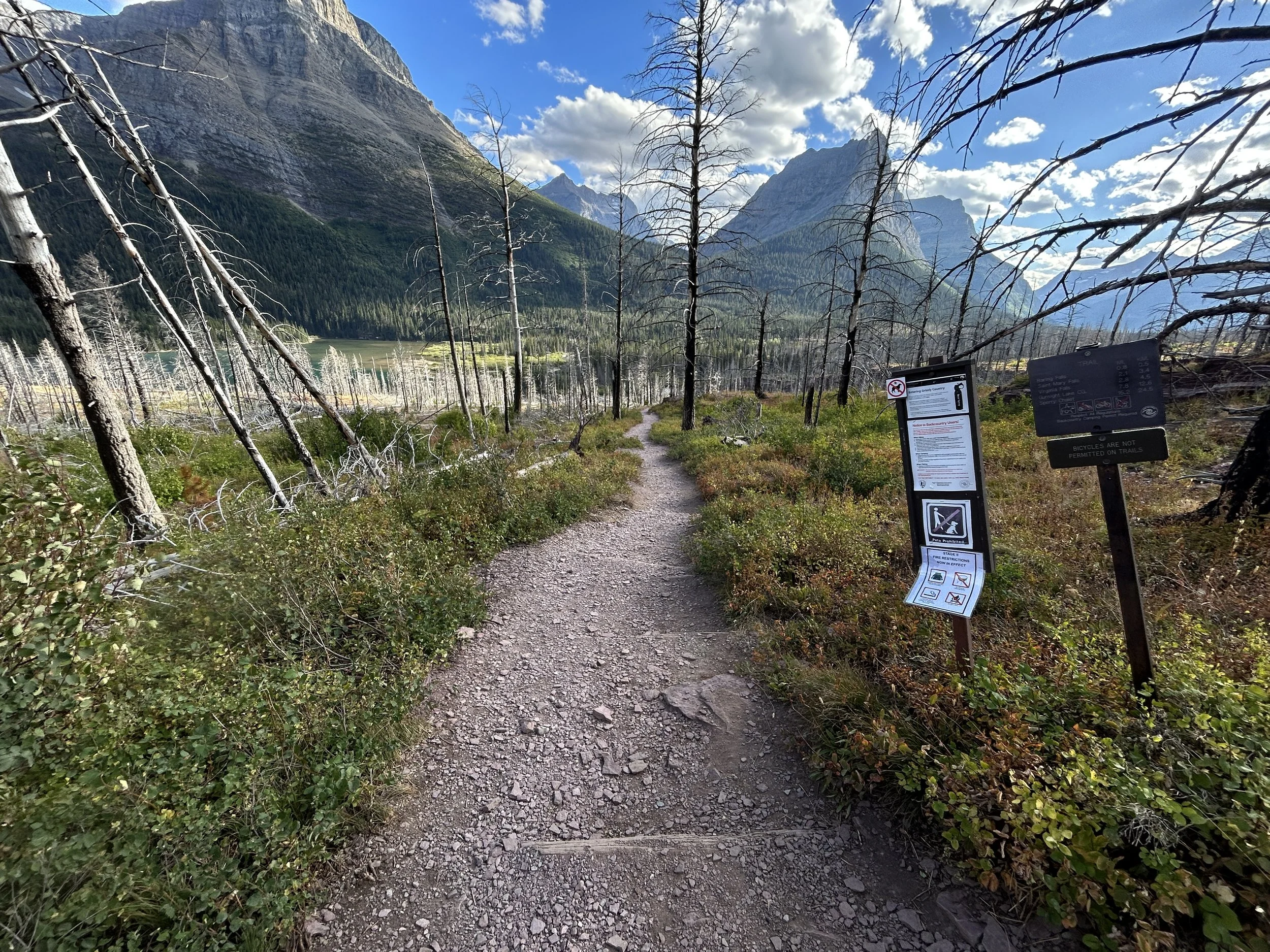 Hiking the St. Mary & Virginia Falls Trail in Glacier National Park ...