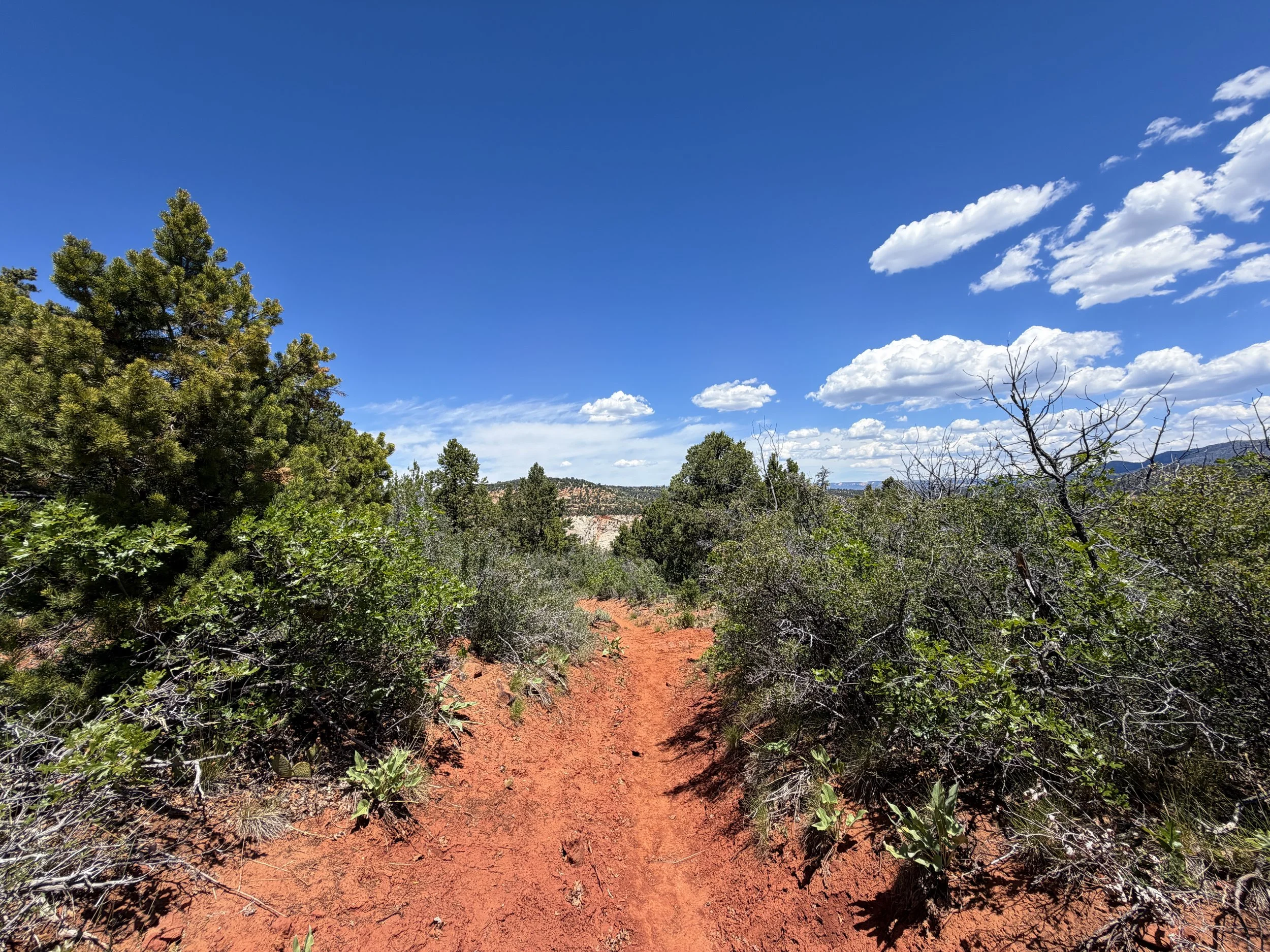 Cable Mountain Trail Zion National Park Utah