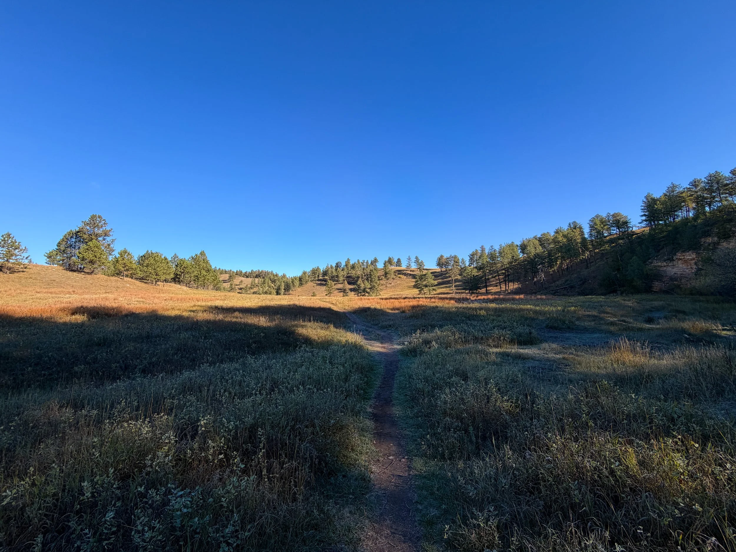 Cold Brook Canyon Trail Wind Cave National Park South Dakota