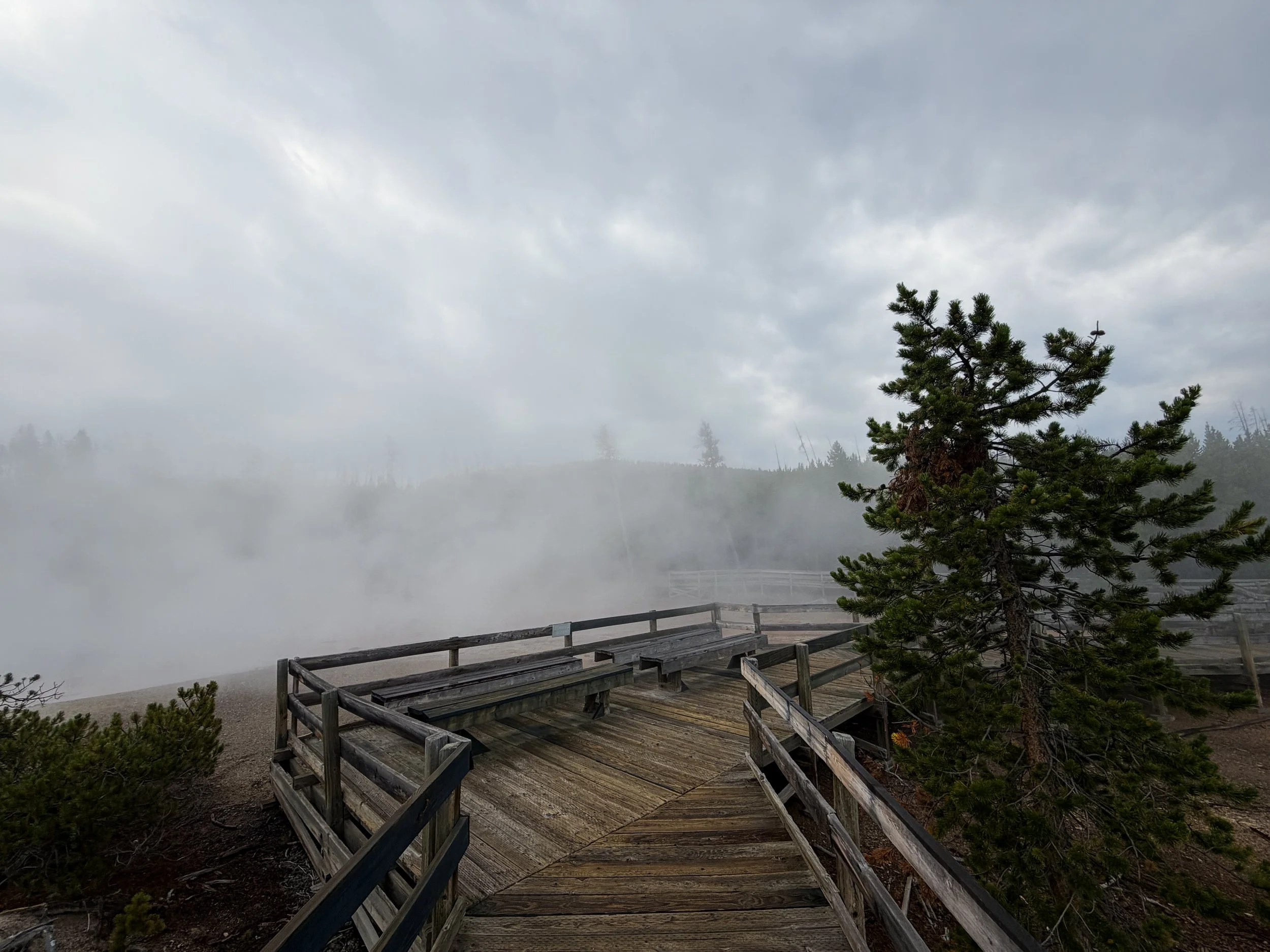 Norris Geyser Basin Trail Yellowstone National Park Wyoming