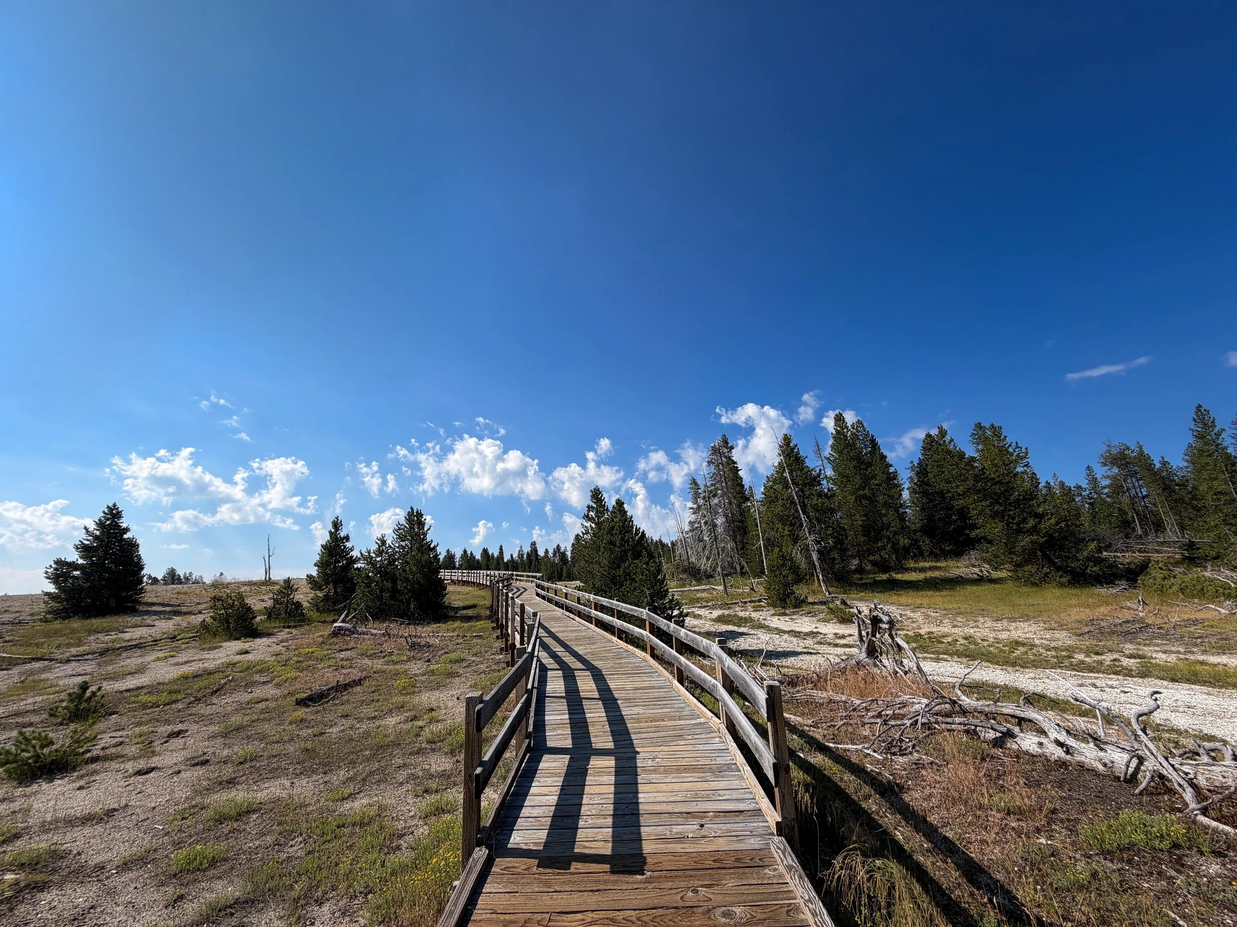 Upper Geyser Basin Trail Yellowstone National Park Wyoming