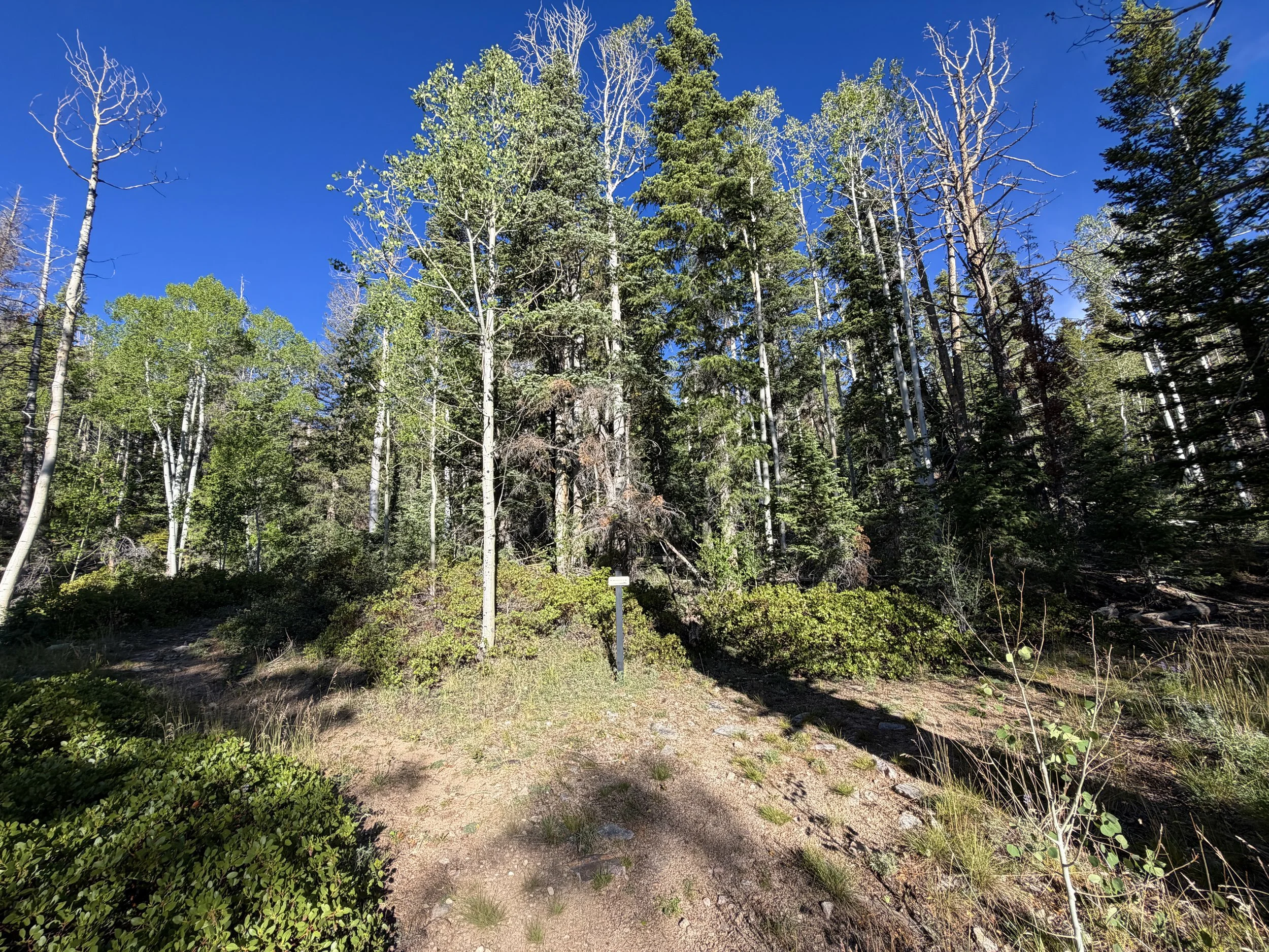 Snake Creek Overlook Trail Great Basin National Park Nevada