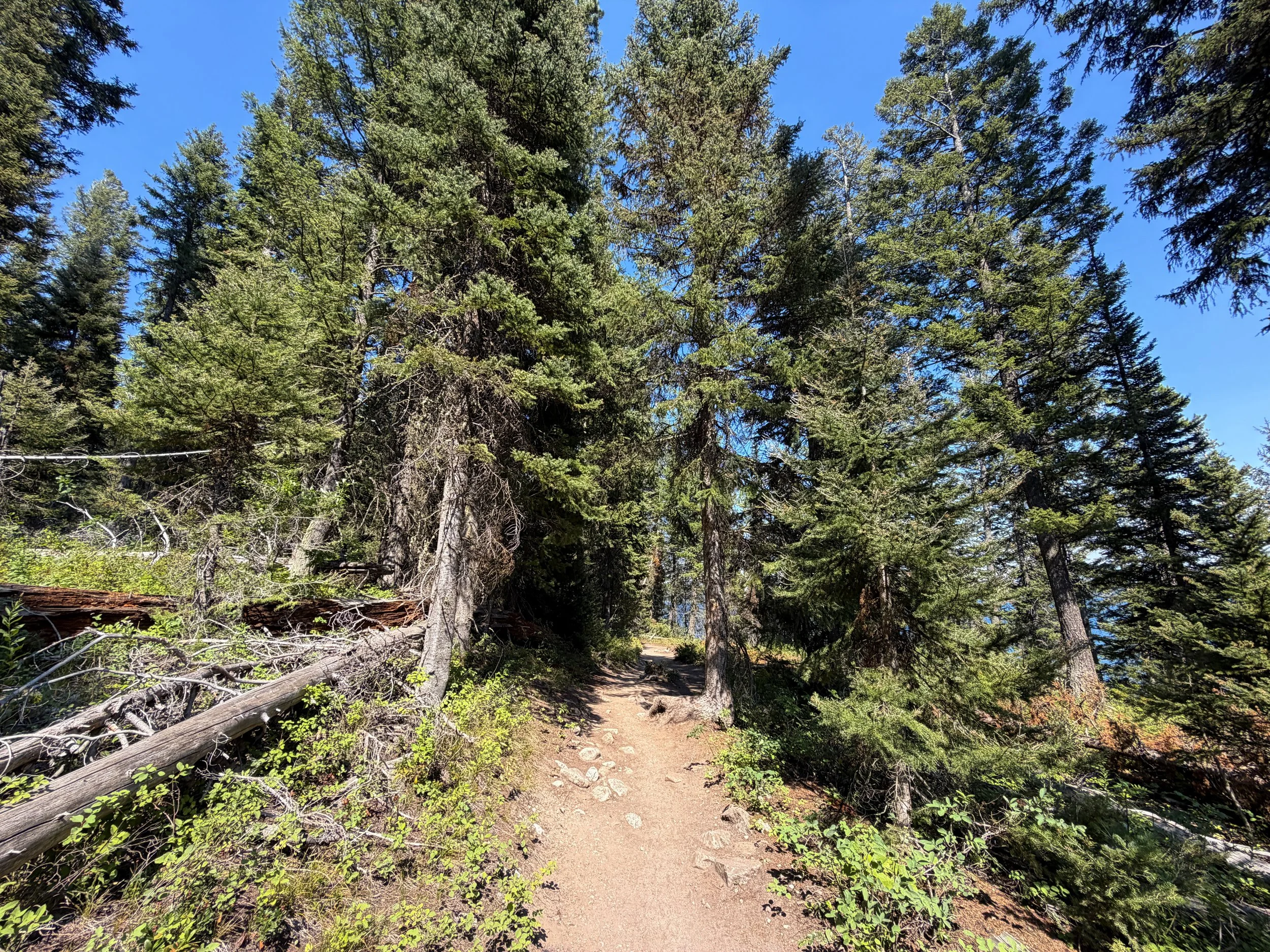 Jenny Lake Loop Trail Grand Teton National Park Wyoming