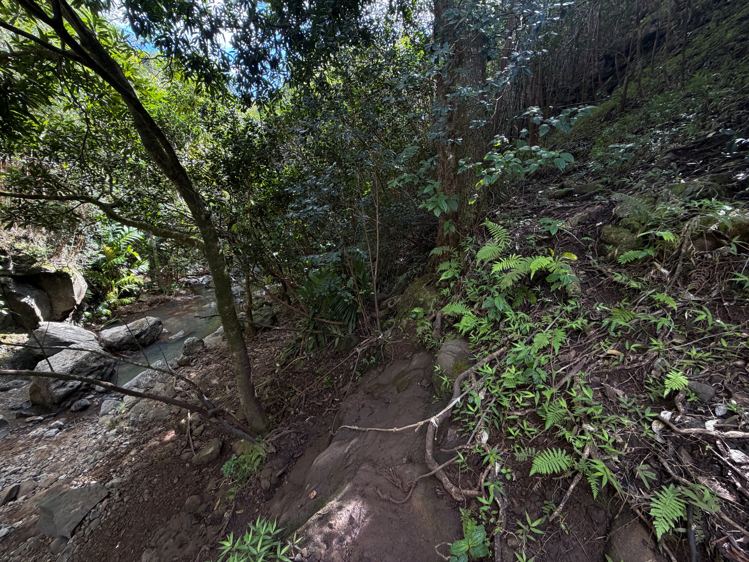 Waimano Falls Trail Ropes Oahu Hawaii