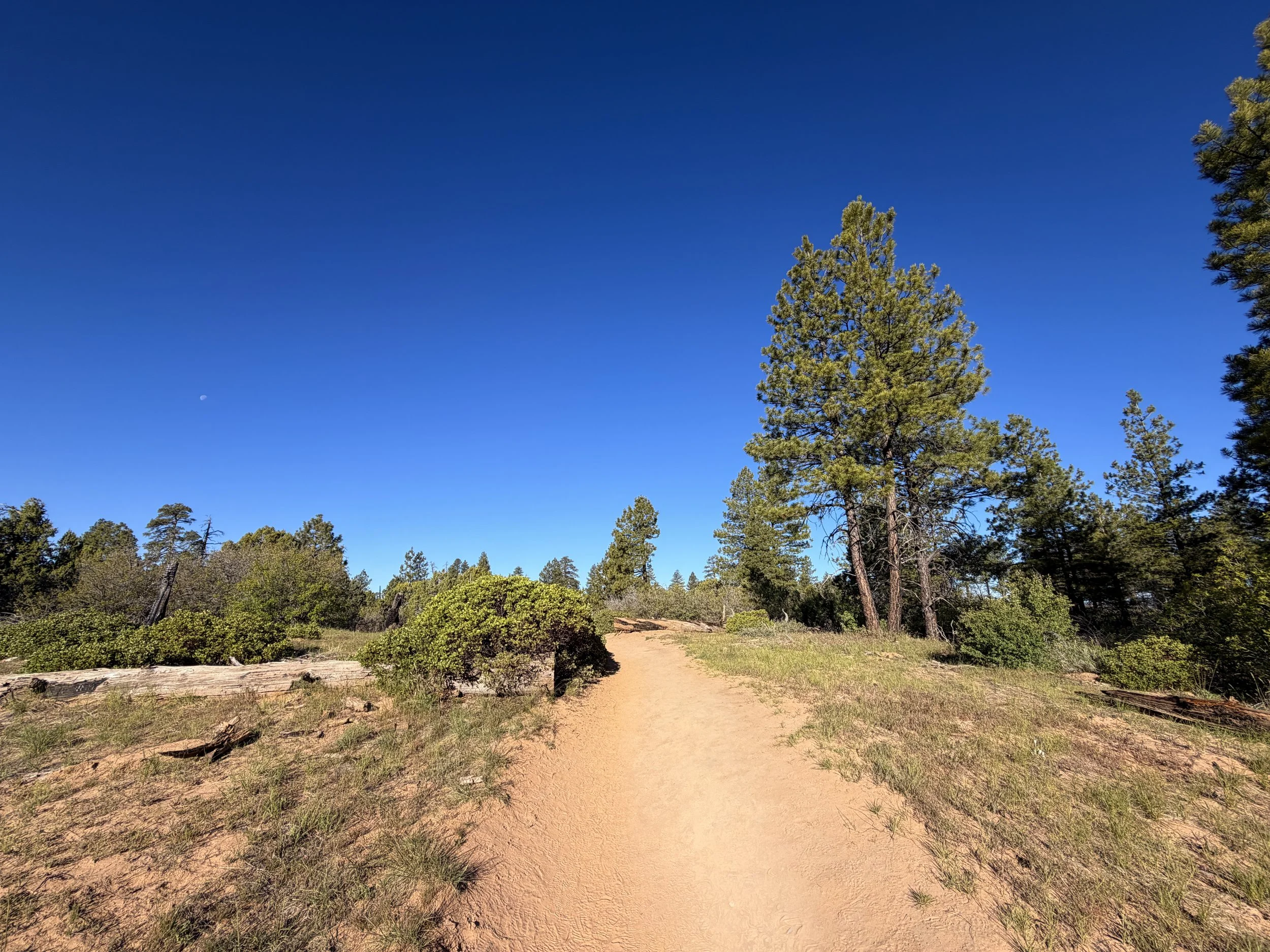 Observation Point Trail via East Mesa Zion National Park Utah