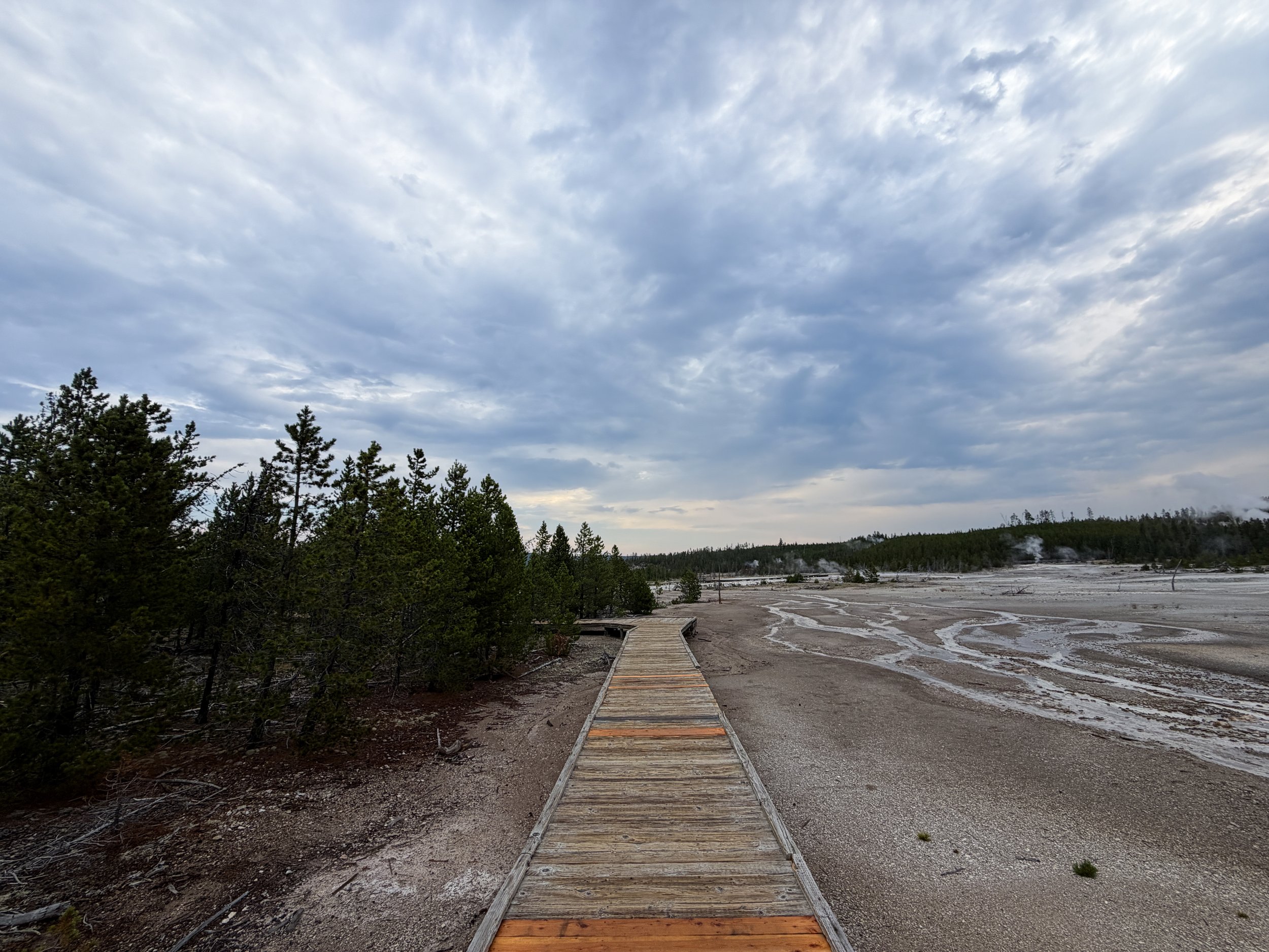 Back Basin Norris Geyser Basin Trail Yellowstone National Park Wyoming