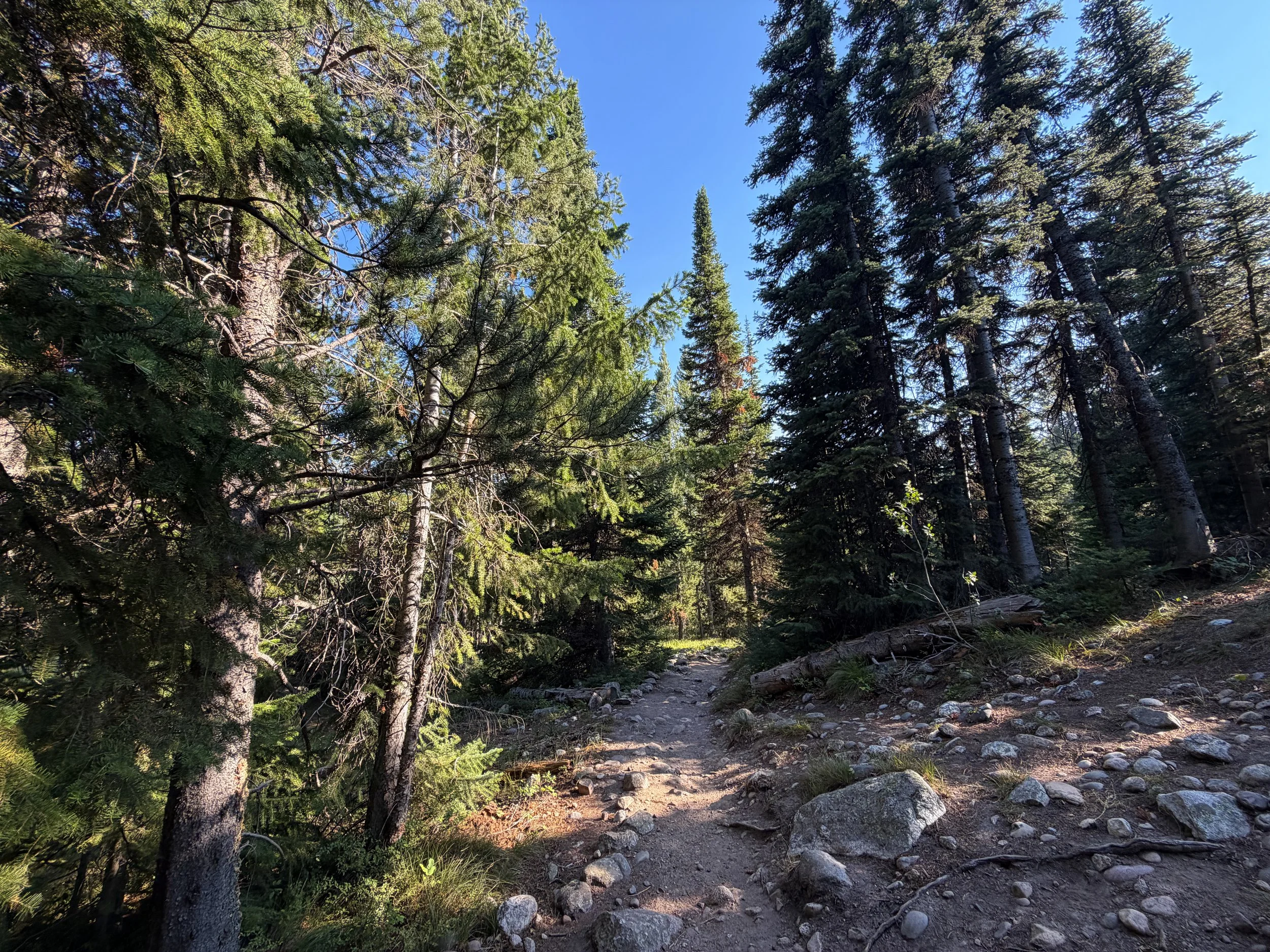 Jenny Lake Loop Trail Grand Teton National Park Wyoming