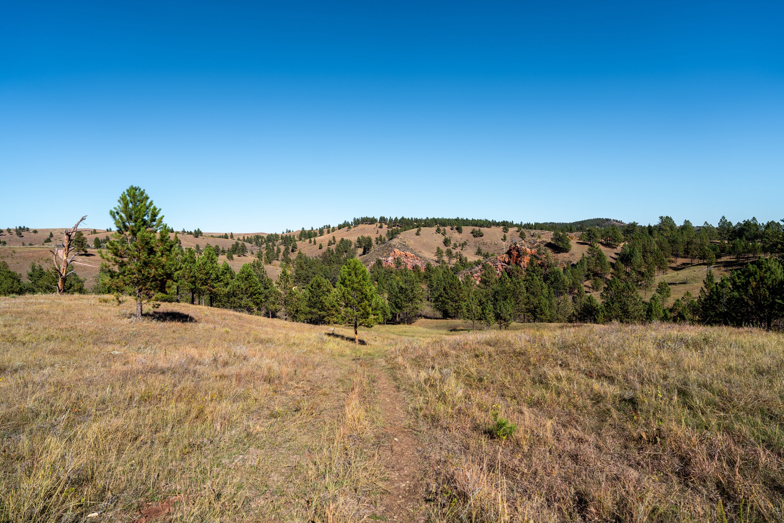 East Bison Flats Trail Wind Cave National Park South Dakota