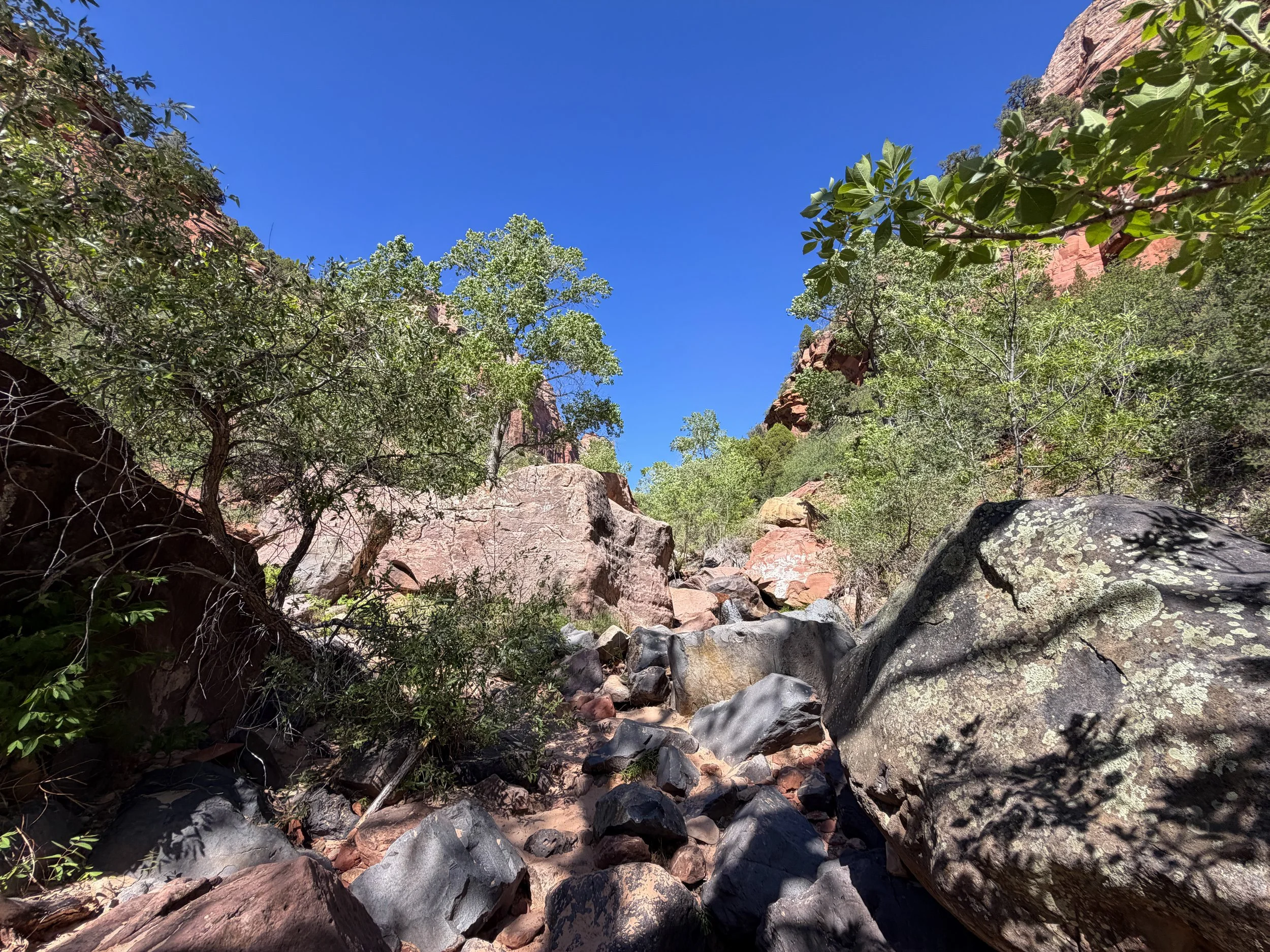 Subway Trail via Left Fork Trailhead Zion National Park Utah