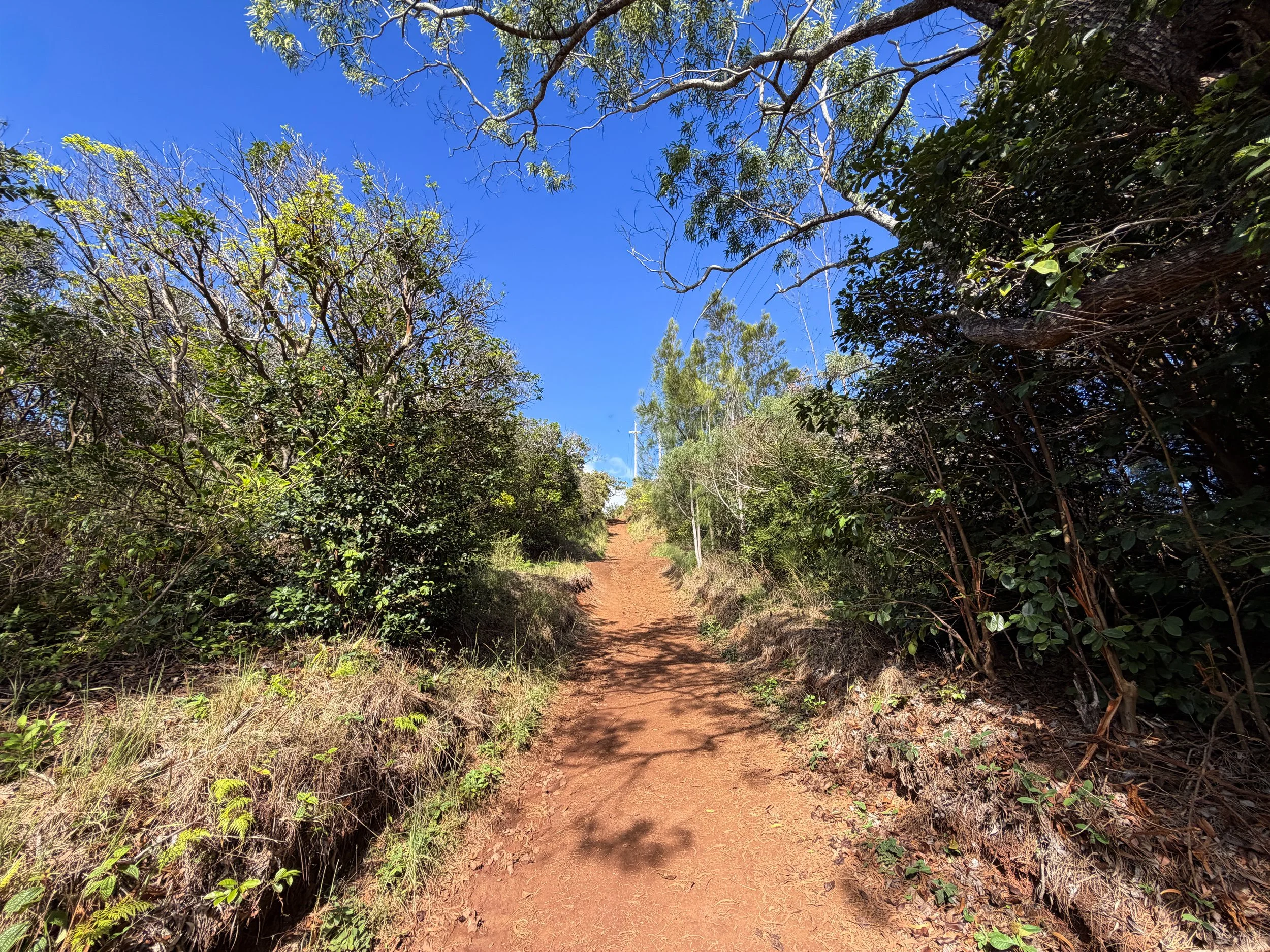 Wiliwilinui Ridge Hike Oahu Hawaii