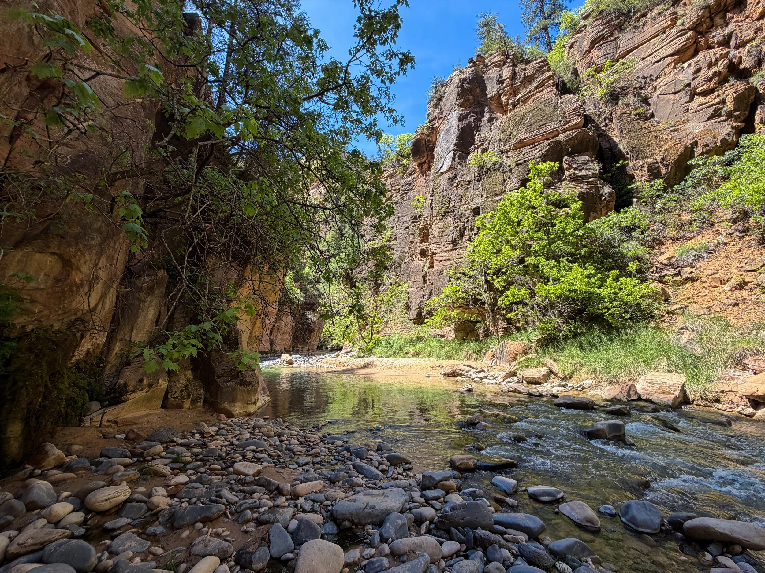The Narrows Zion National Park Utah