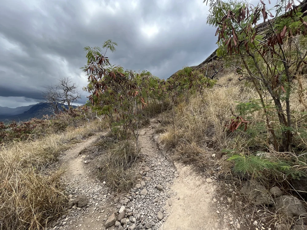 Hiking the Puʻu O Hulu Trail (Pink Pillbox) on Oʻahu — noahawaii